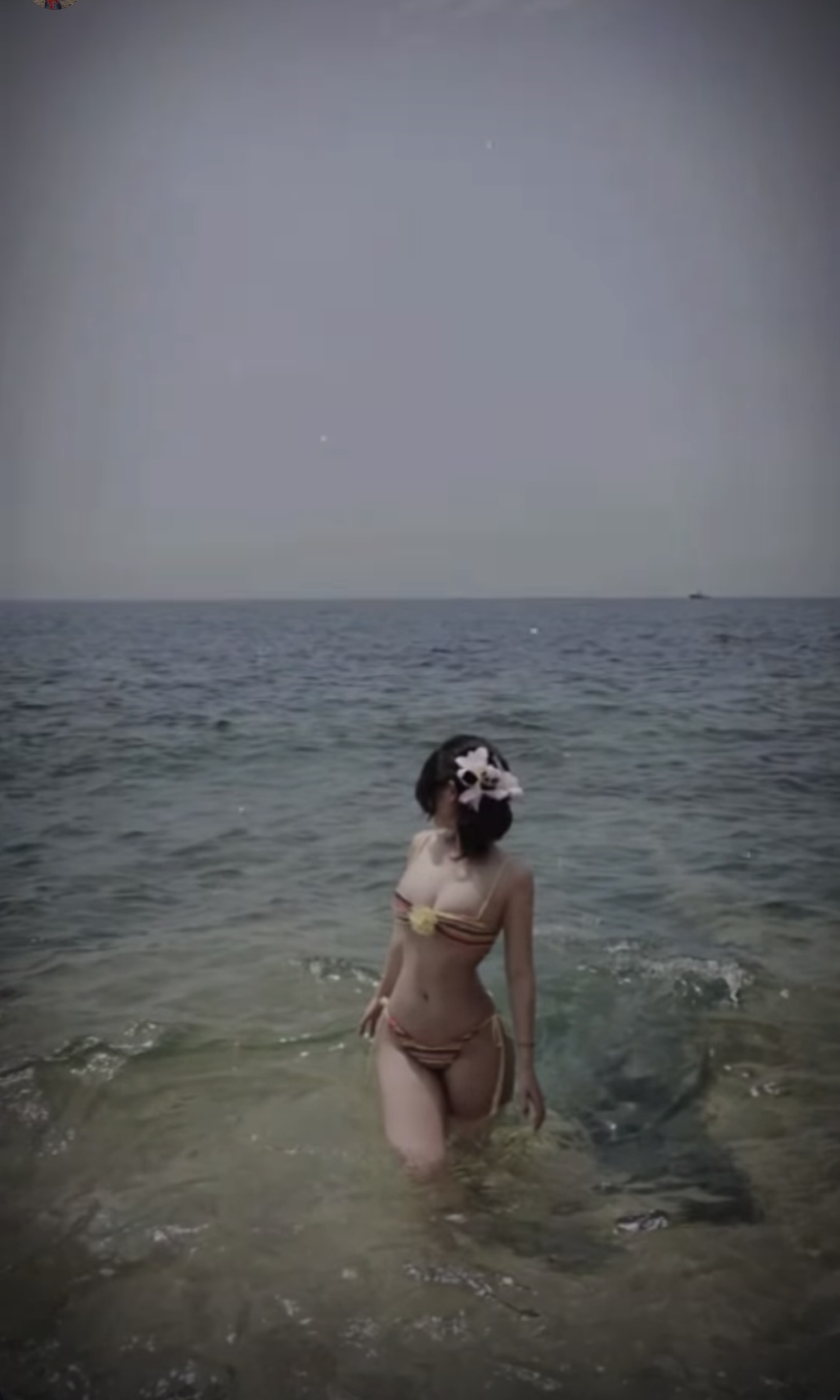 442532-c831d1fc596f.jpeg