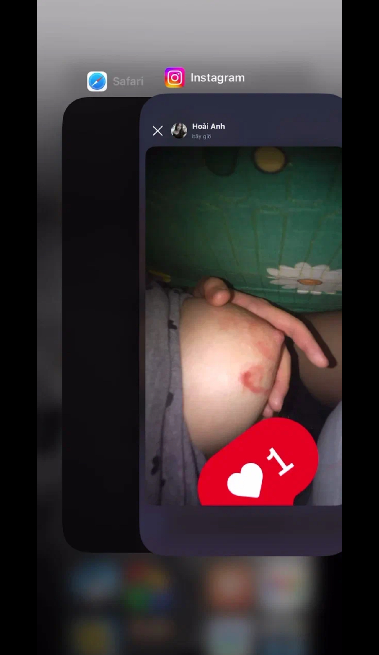 444561-a6919d0ea5c9.jpeg