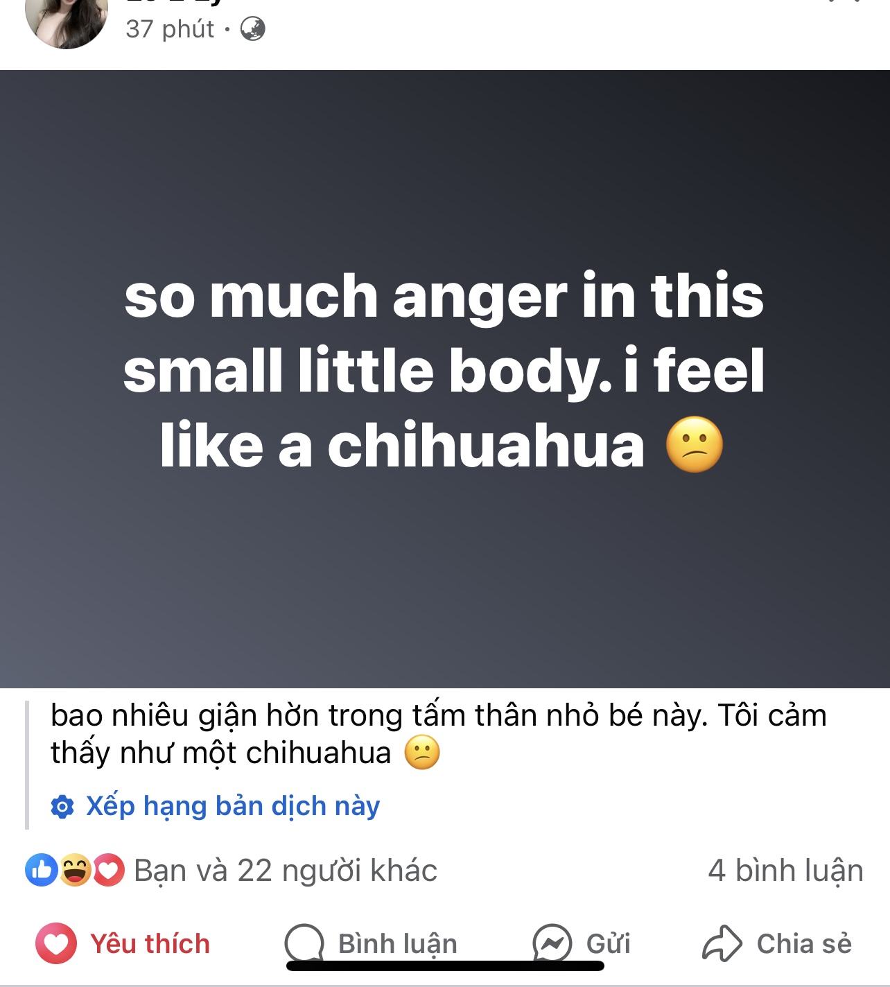 445165-38f75419003c.jpeg