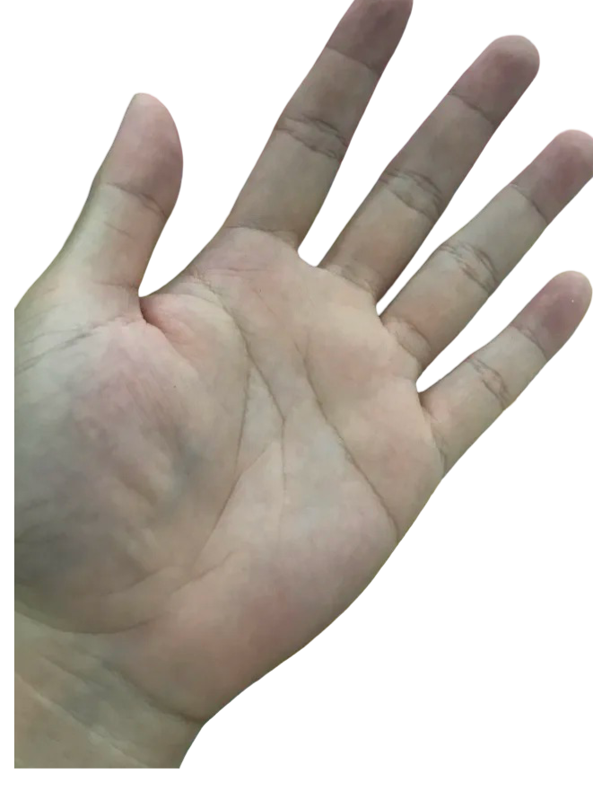 446508-d23c5d0b6f79.png