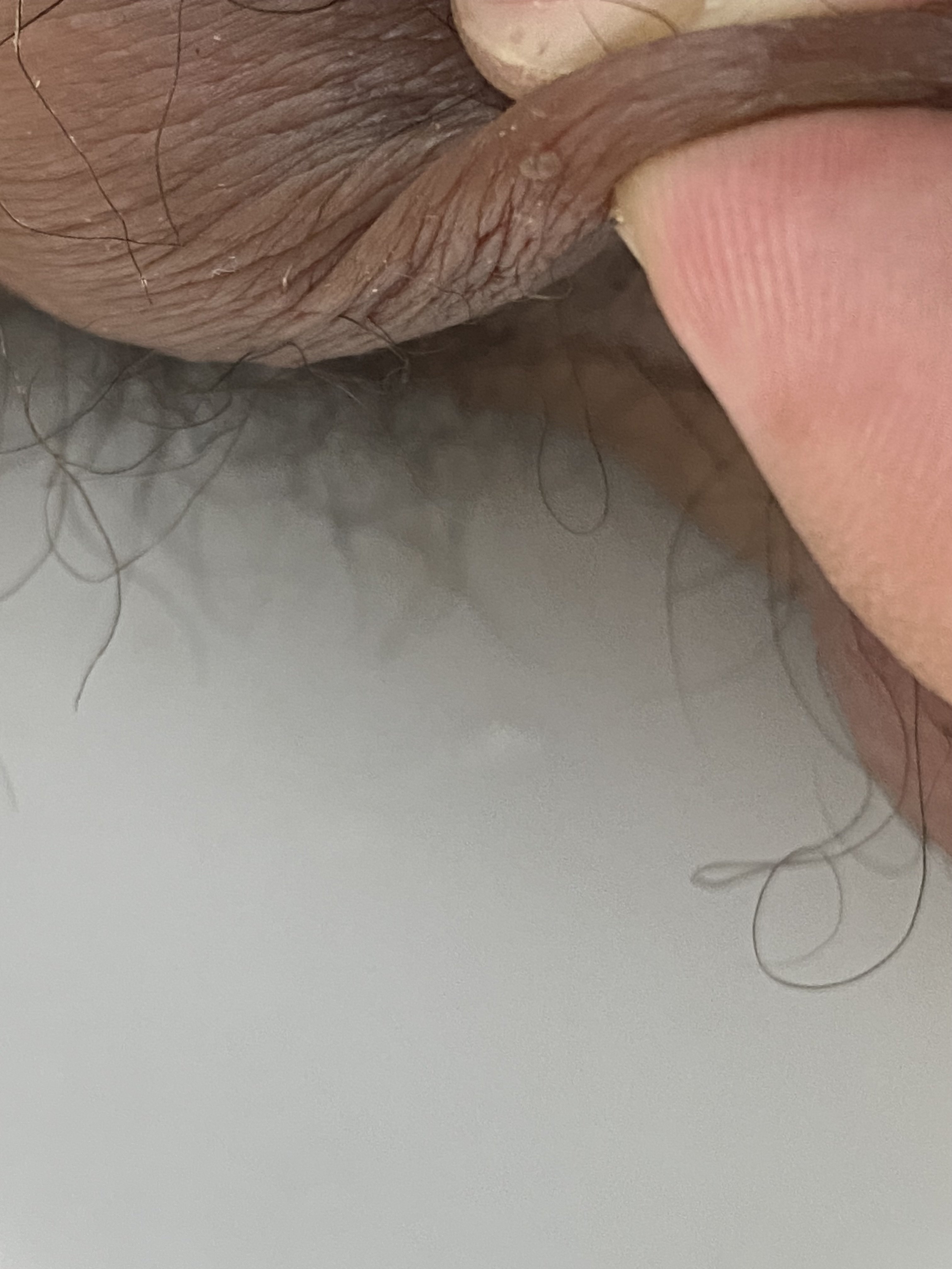 447016-5adf2ebe3540.jpeg