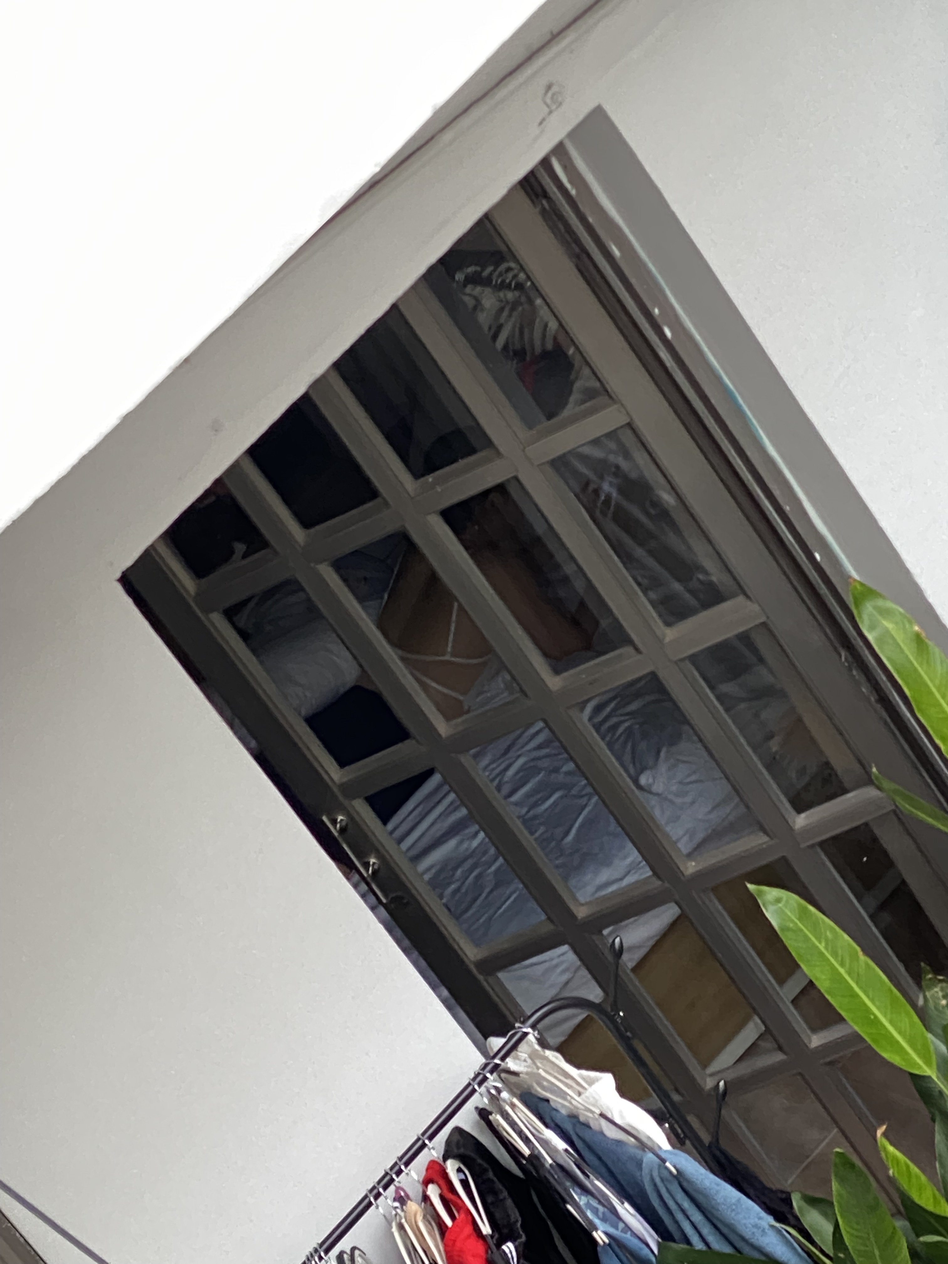 447073-6ab65cd09d40.jpeg