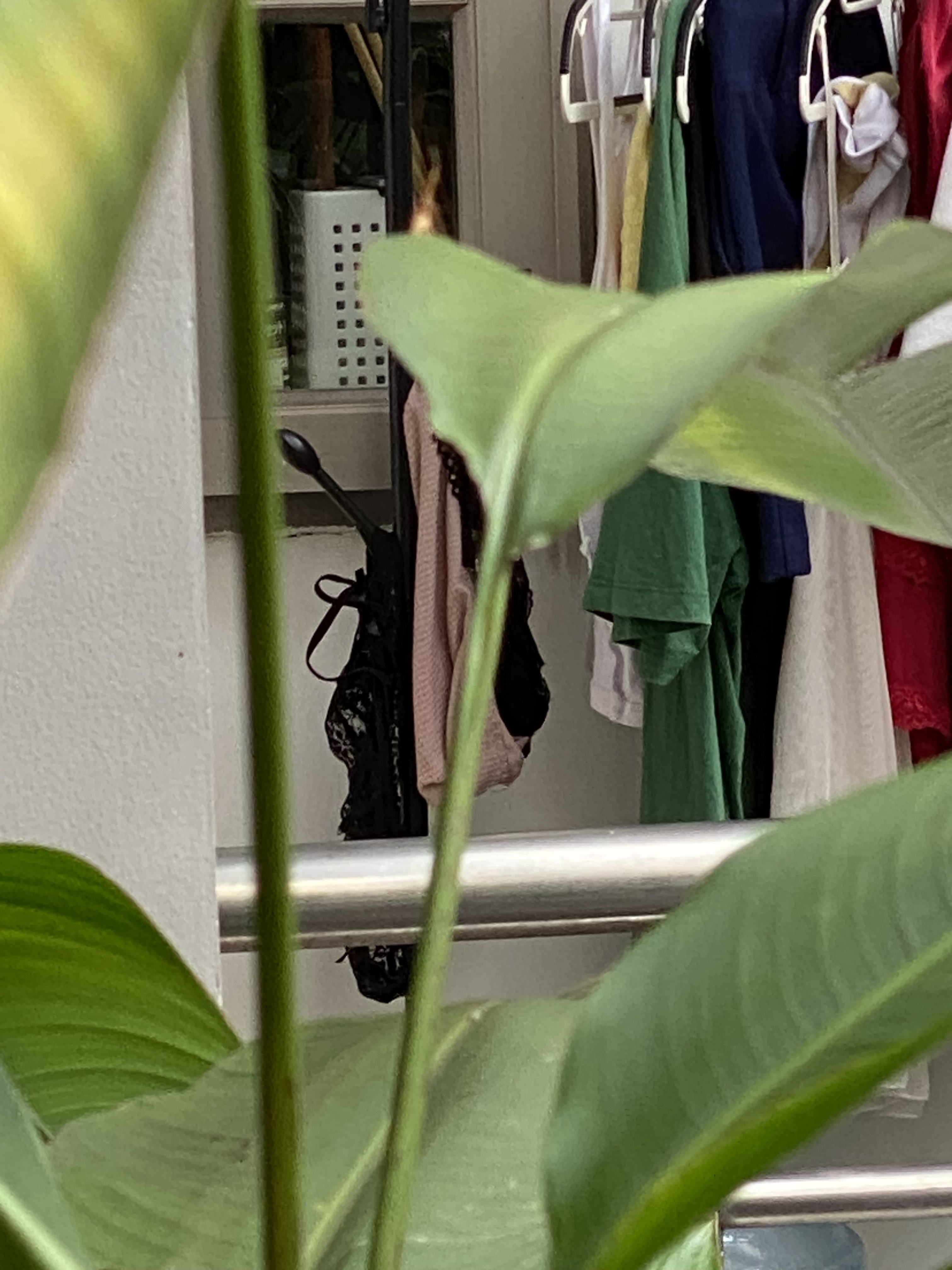 447084-e3c0953e4451.jpeg