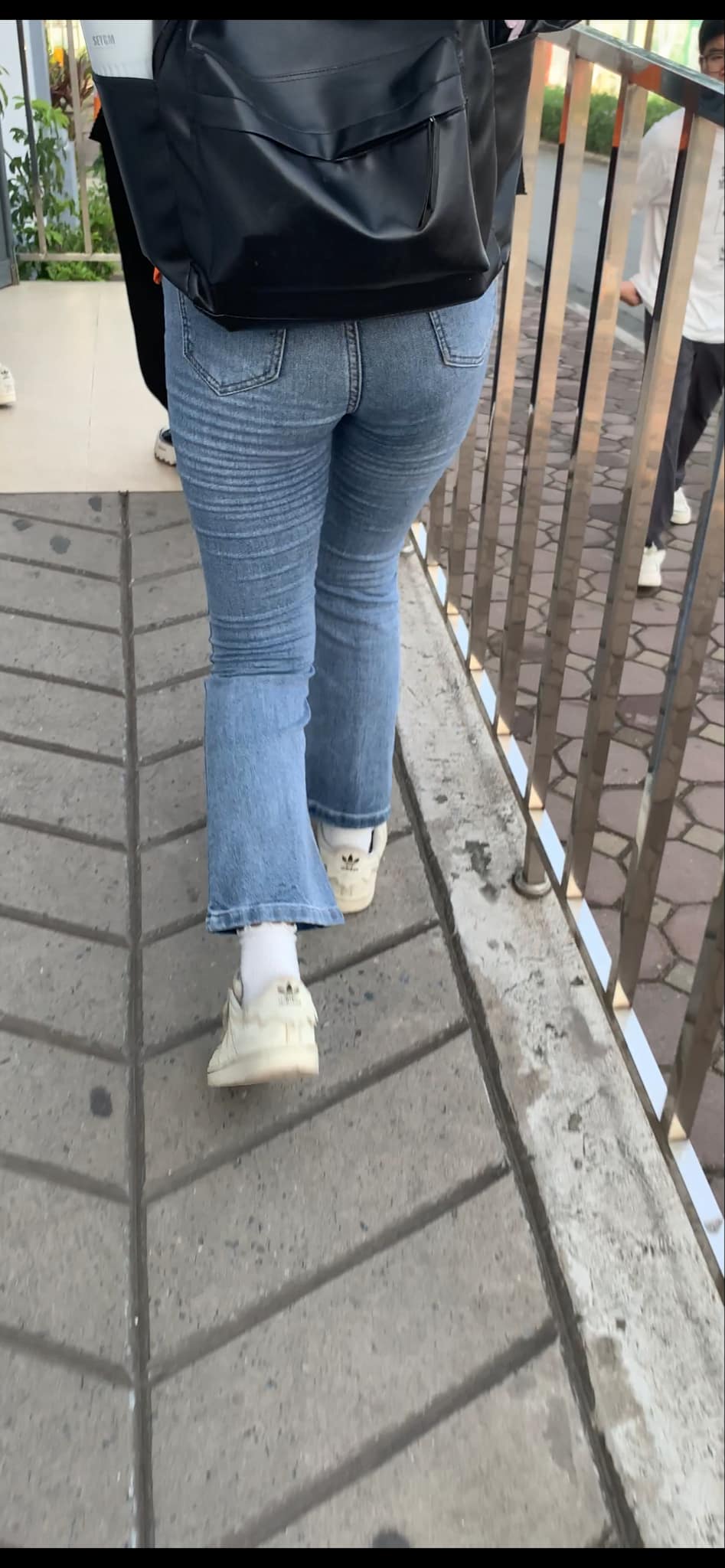 448409-9544889a91d0.jpeg