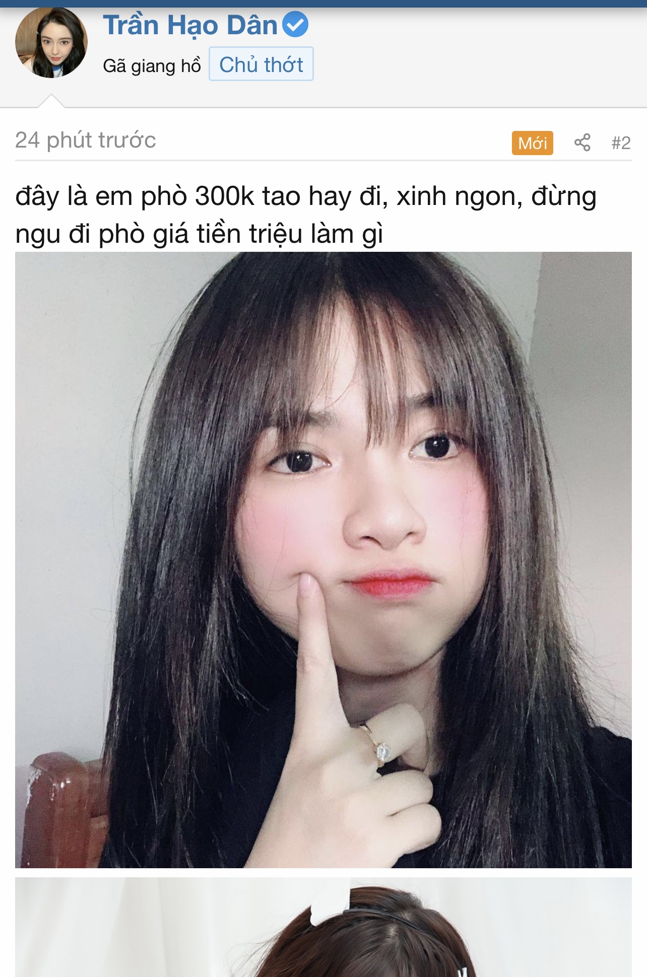 45951-1c92a134feab.jpeg