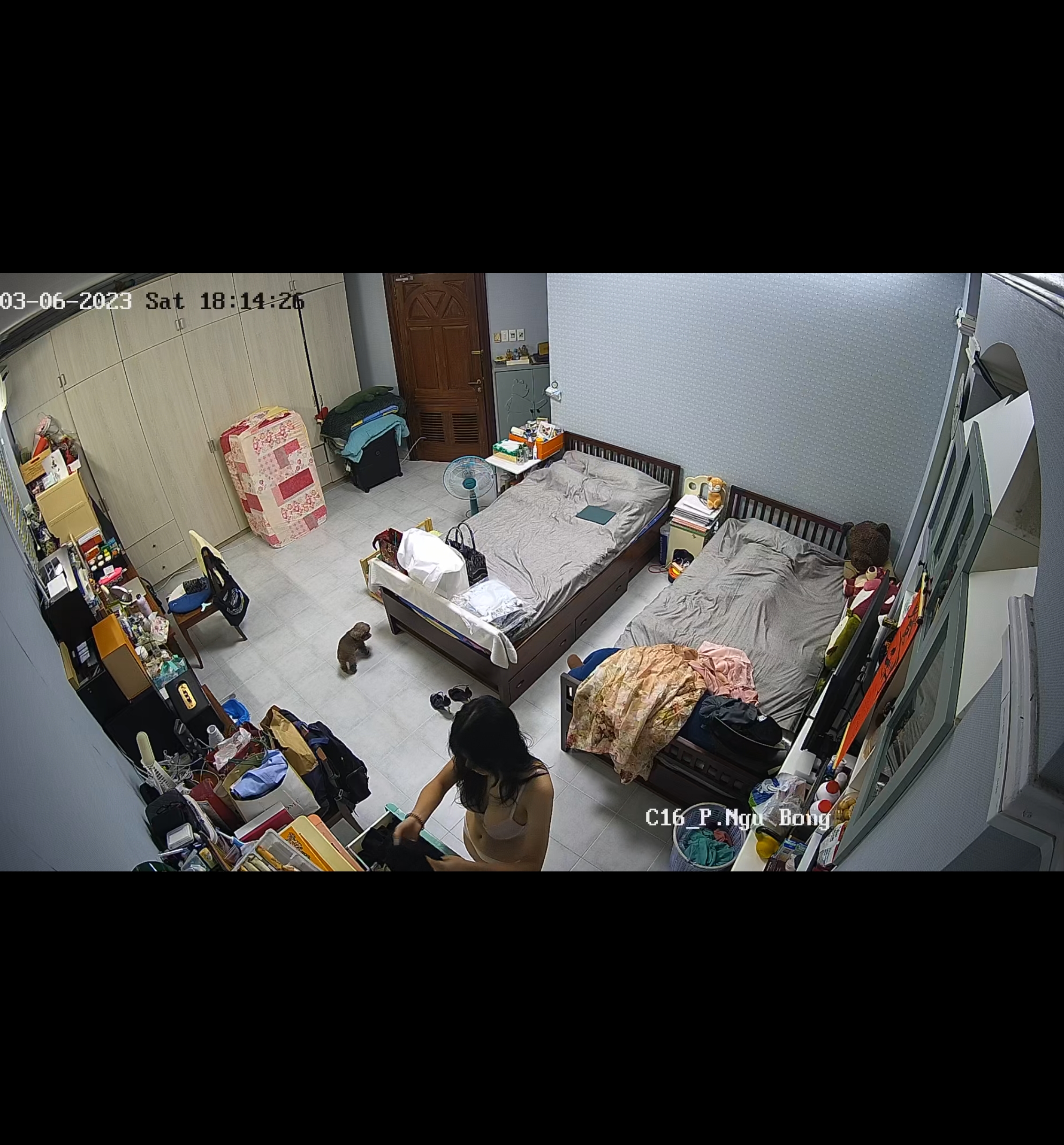 450198-47650ab1481d.jpg