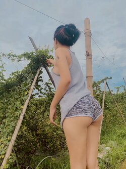 458062-d639b5dc7b13.jpg