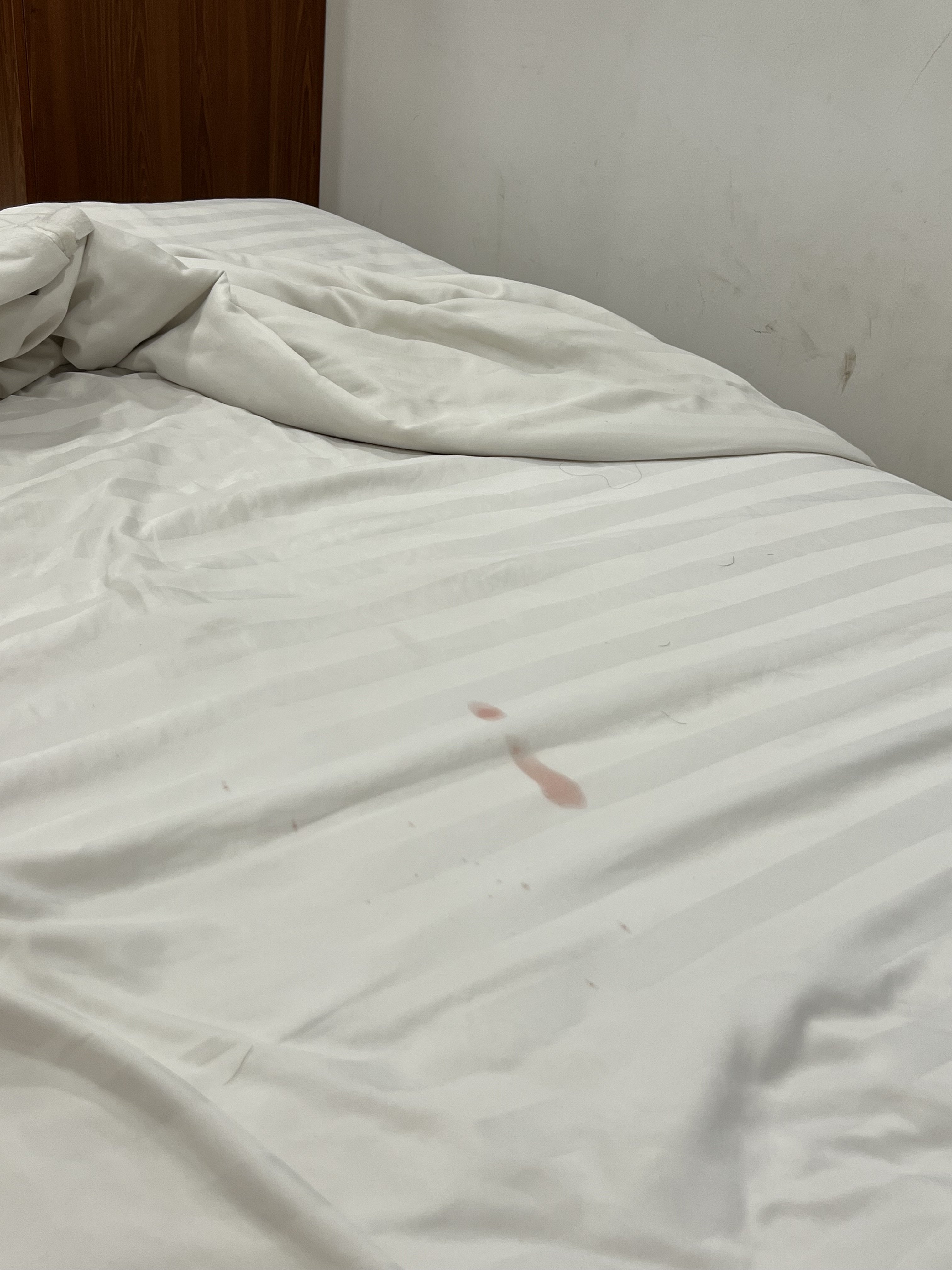 462412-e9044cb217b7.jpeg