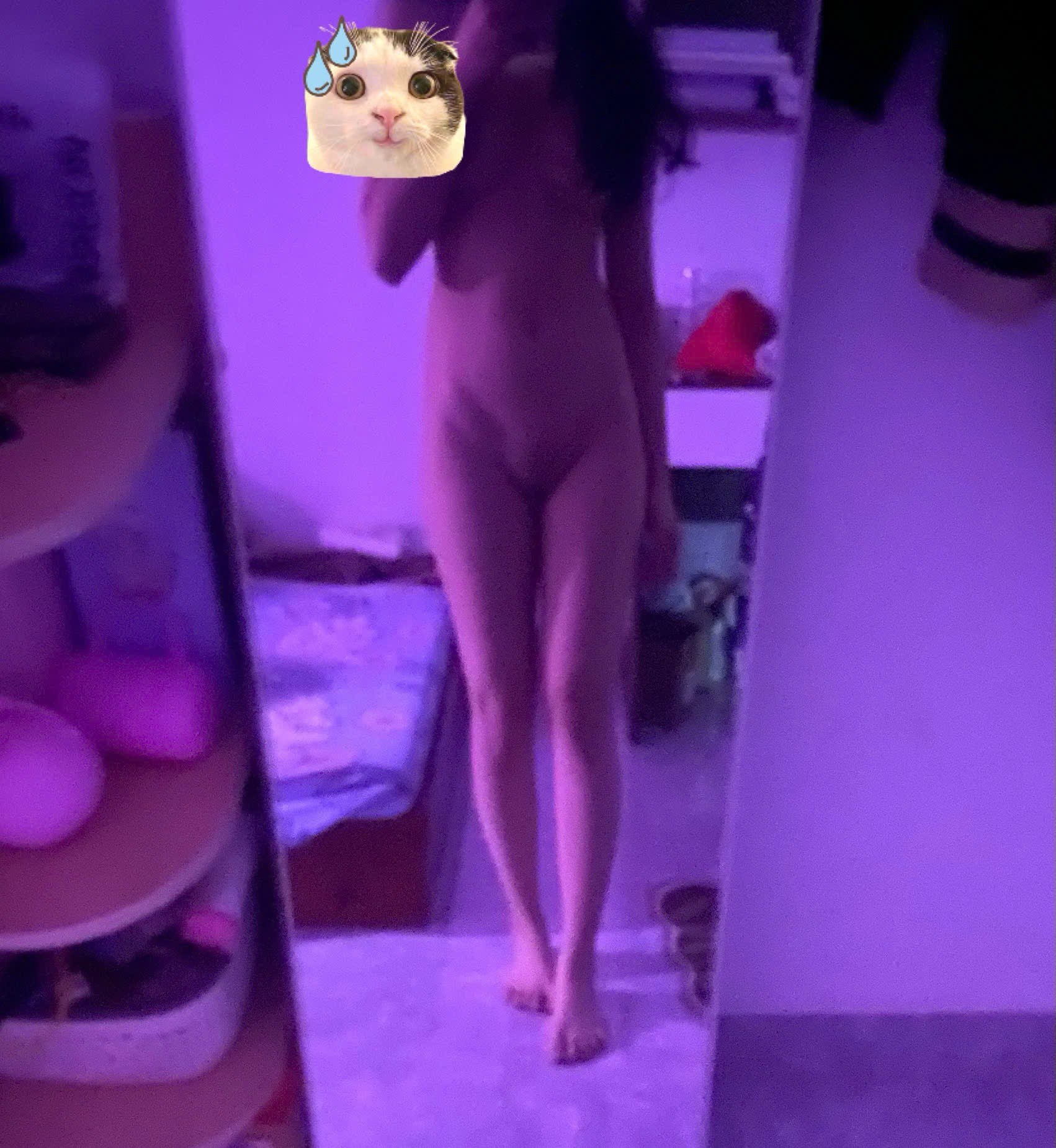 464147-d4fc553c130b.jpeg