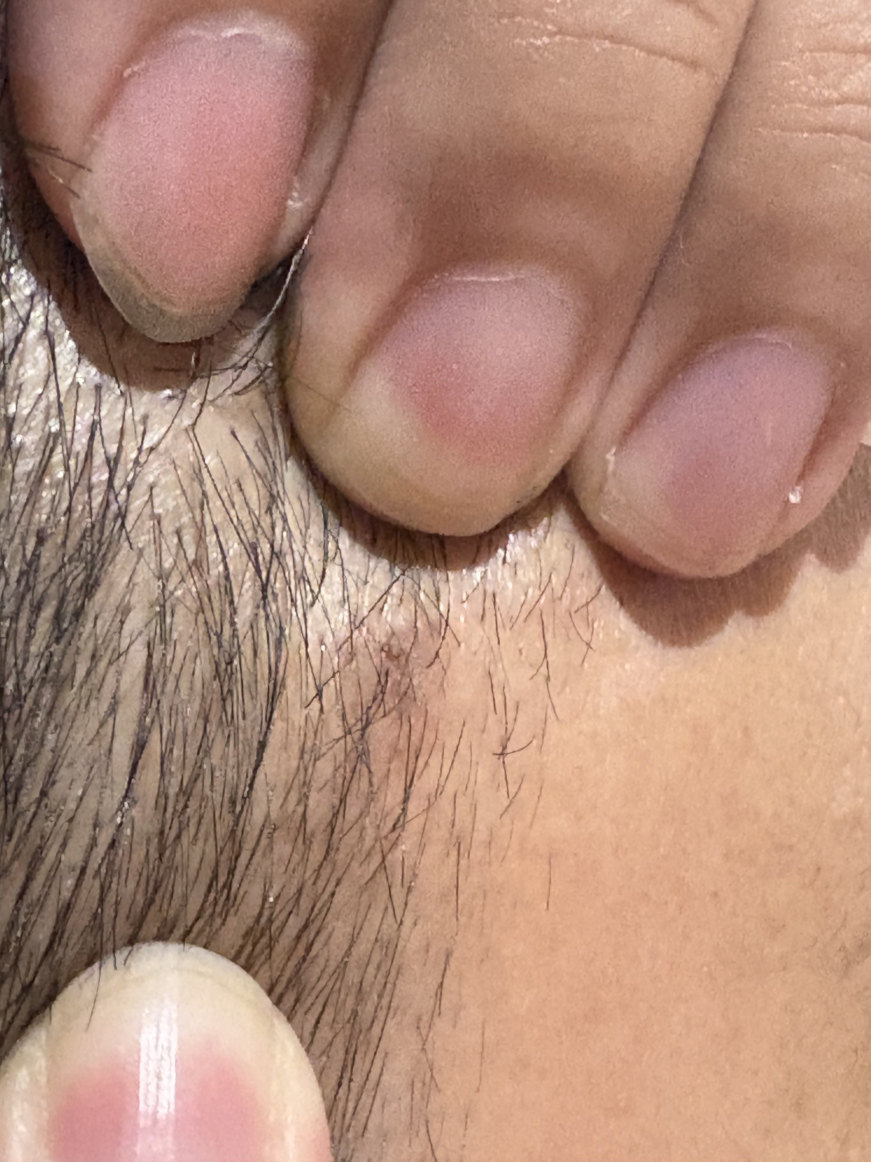 466316-d7fd4581ffc1.jpeg