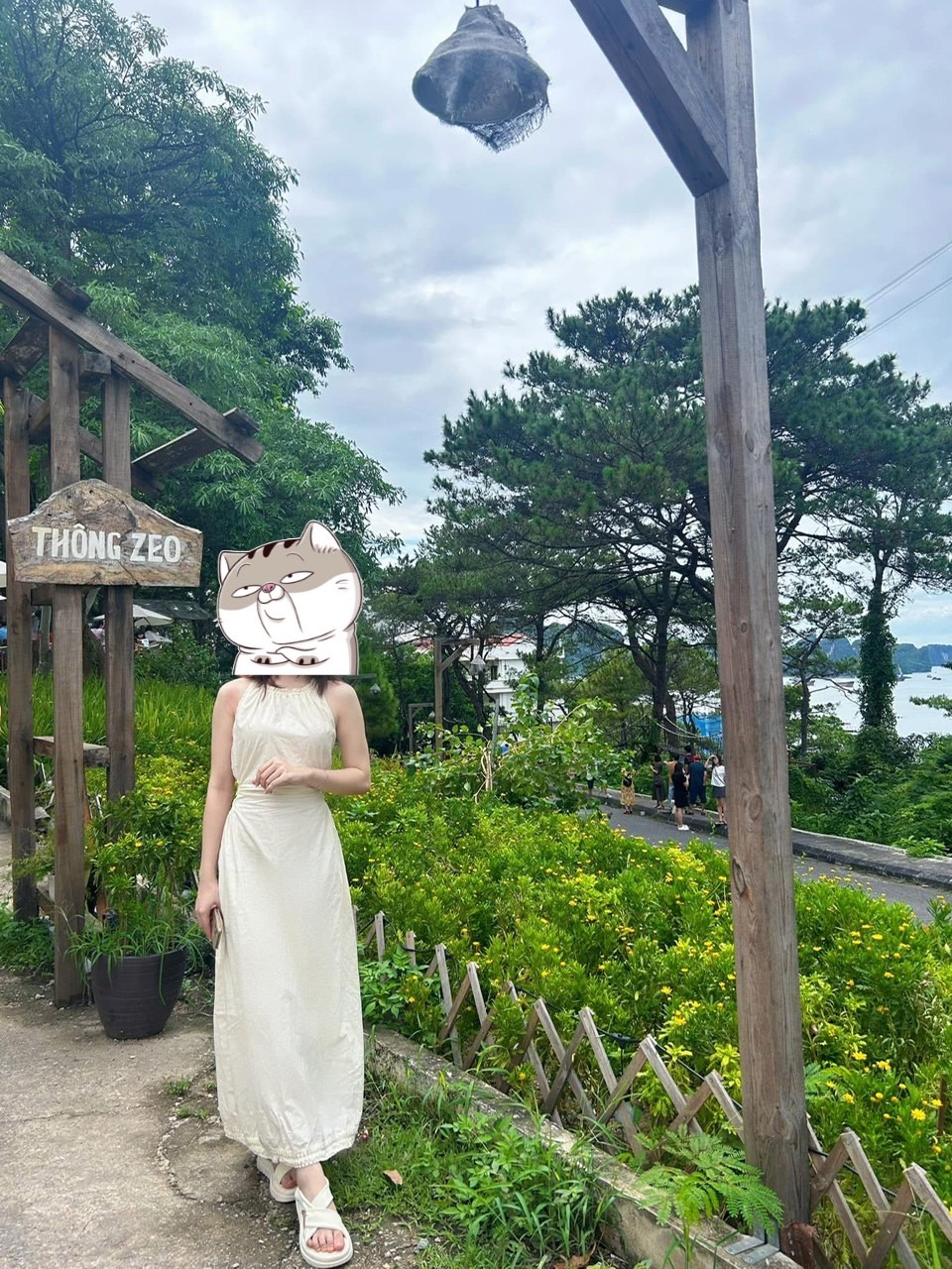 467040-3e37dfe3808b.jpeg