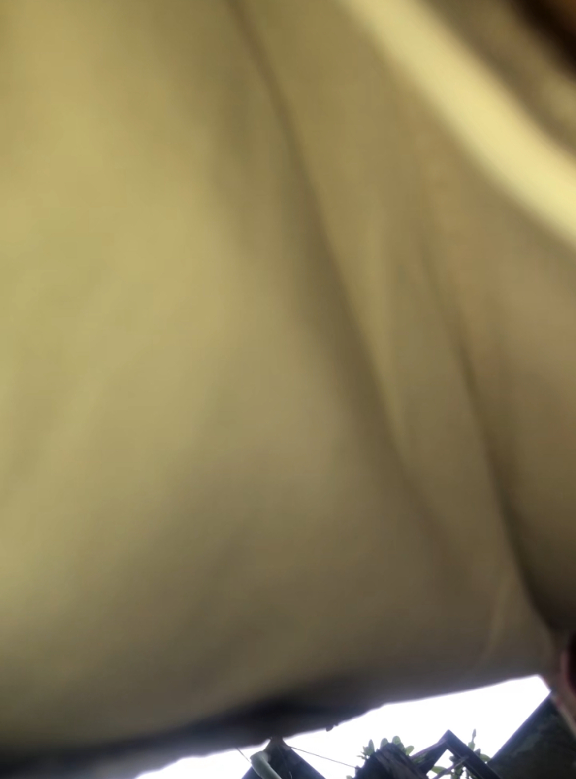 468400-c718554b91ab.jpeg