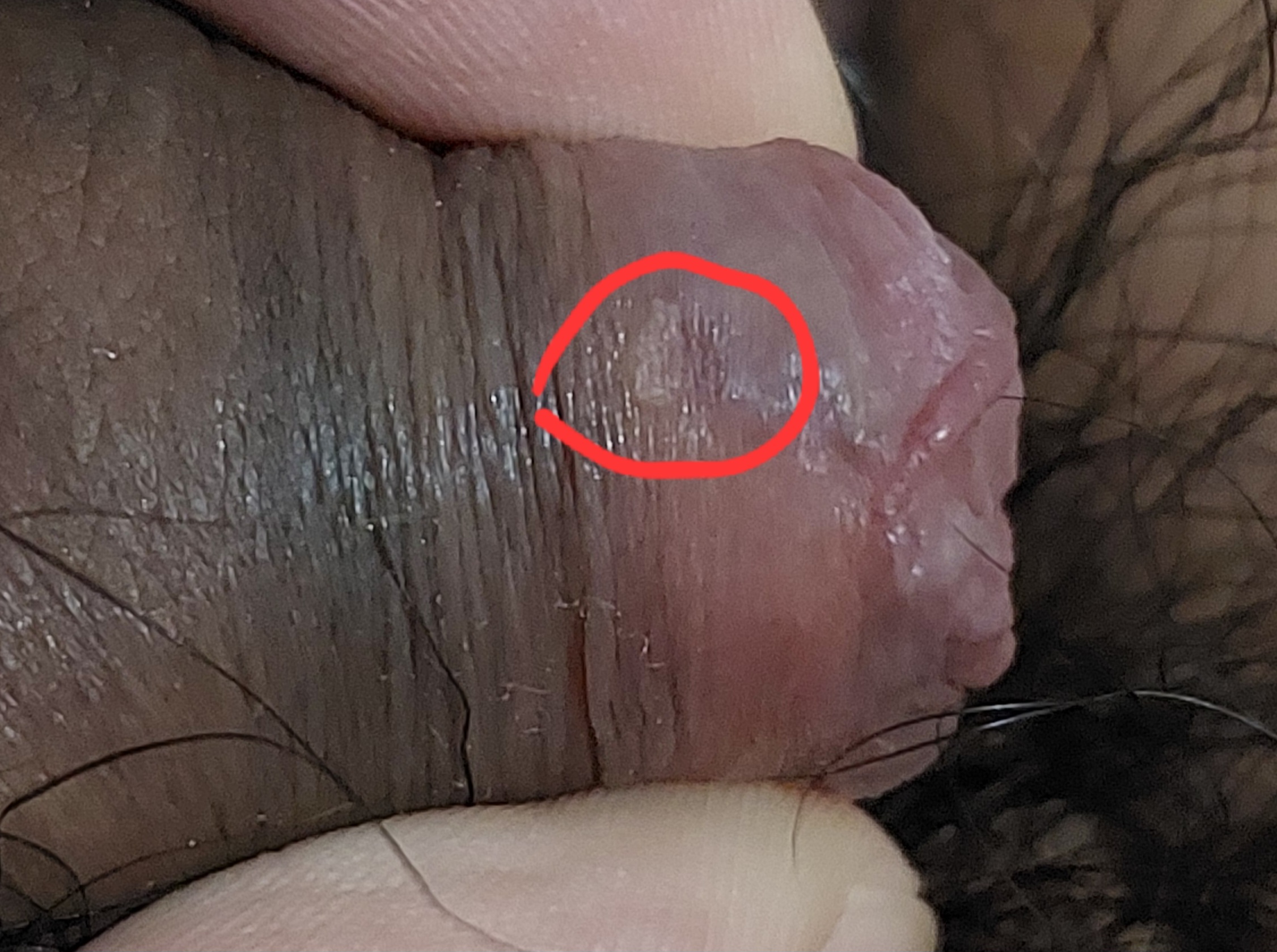 468640-177d8567e434.jpg