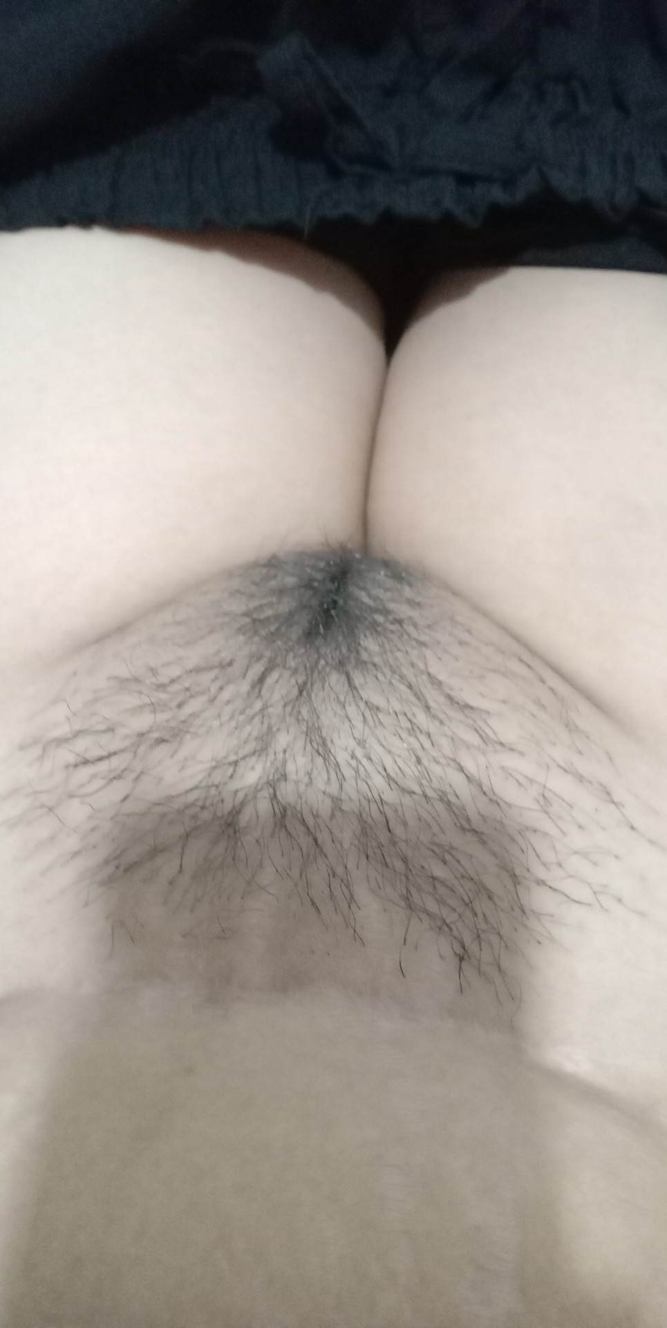 47194-b88944254525.jpg