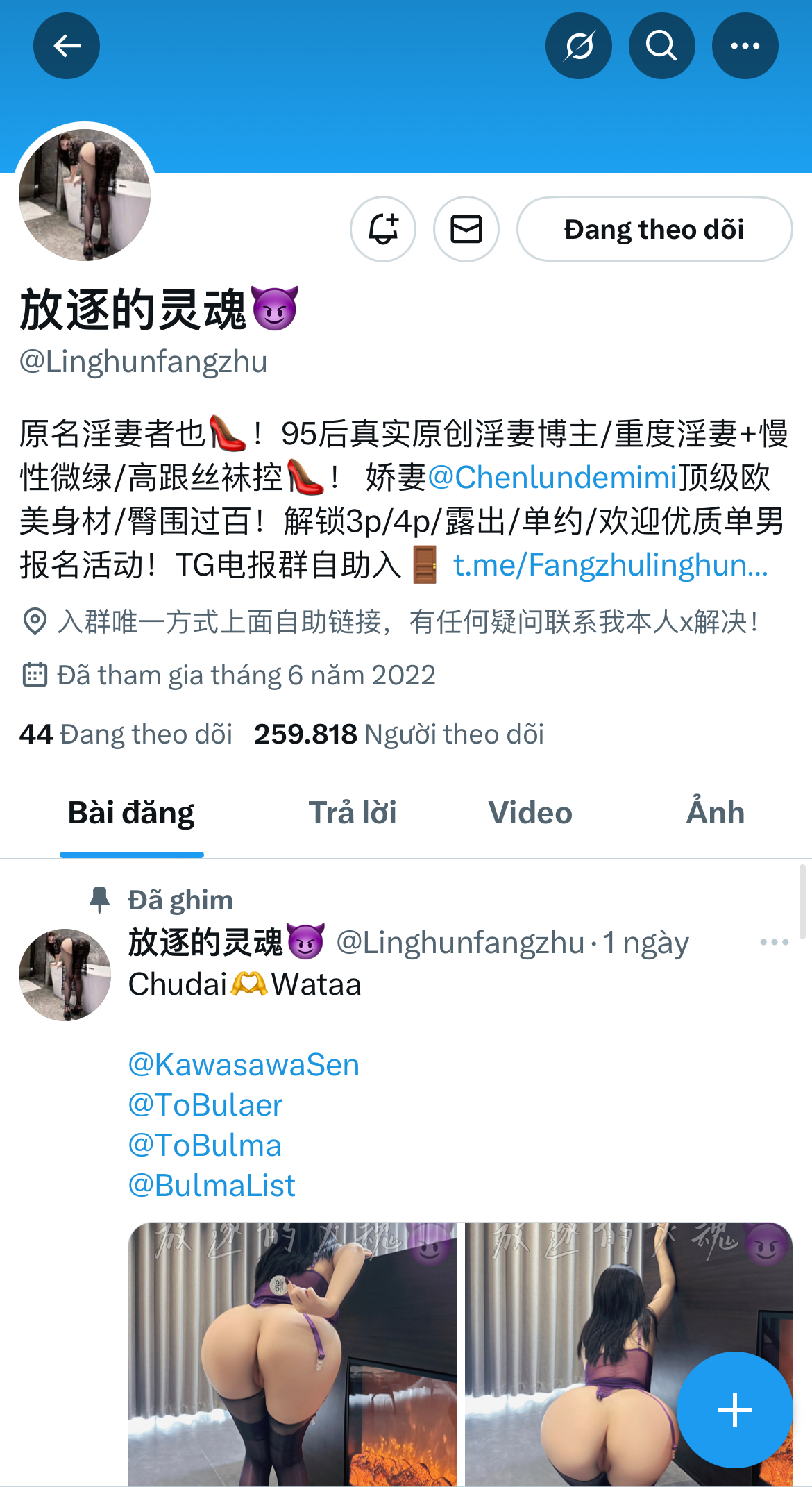 473341-bd4f32590296.jpeg