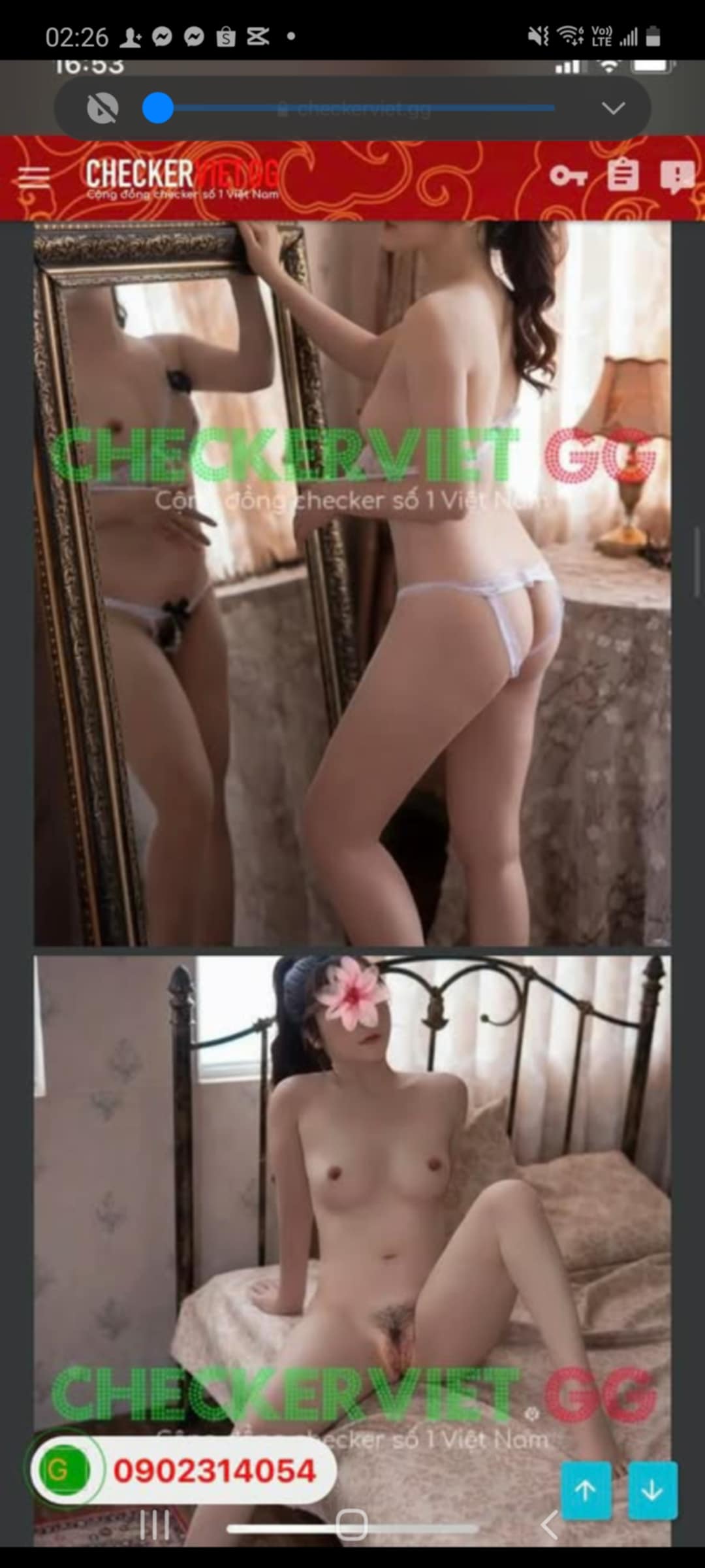 473816-21bf224dd3f6.jpeg
