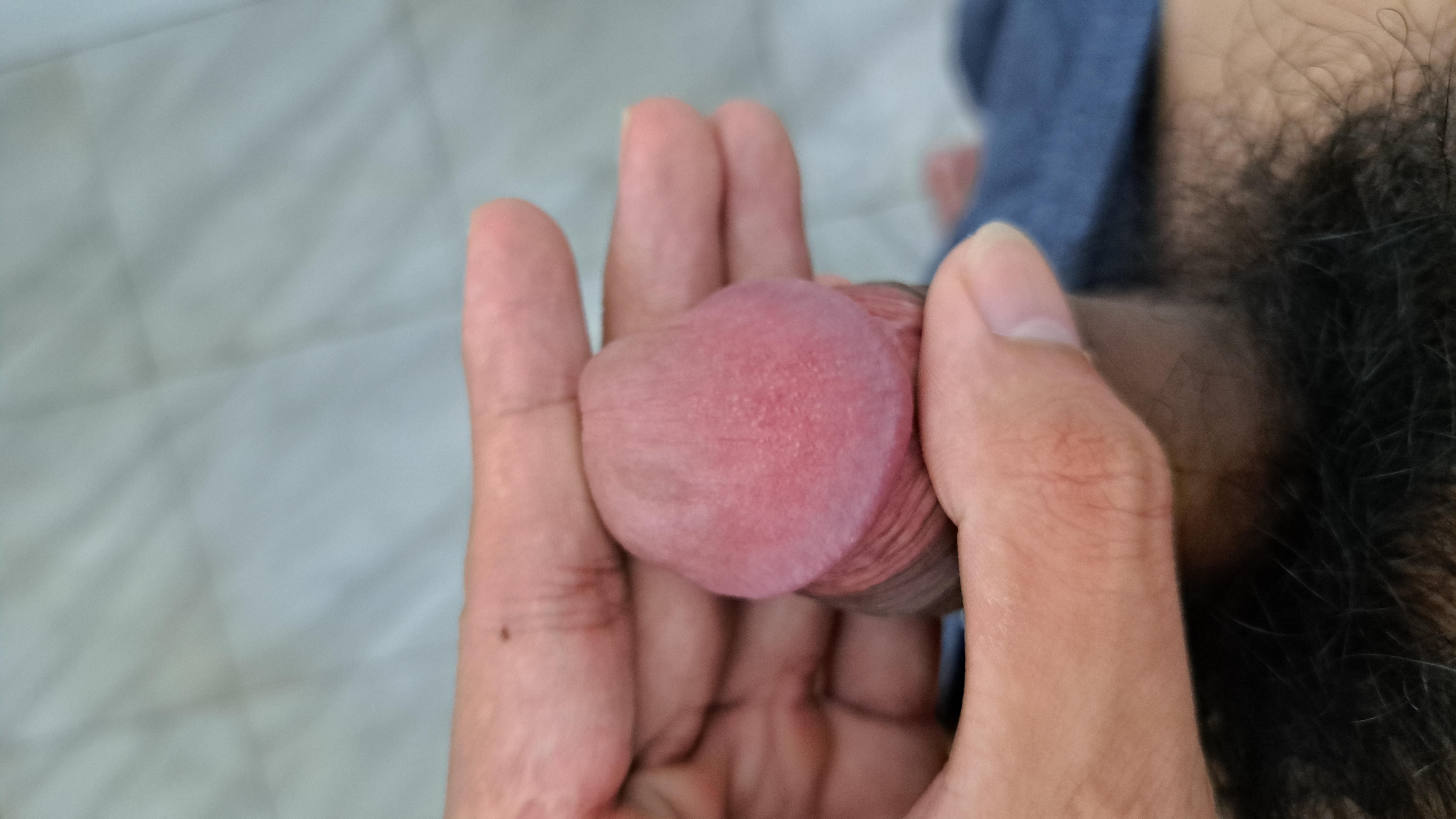 475286-0f0b46072fff.jpg