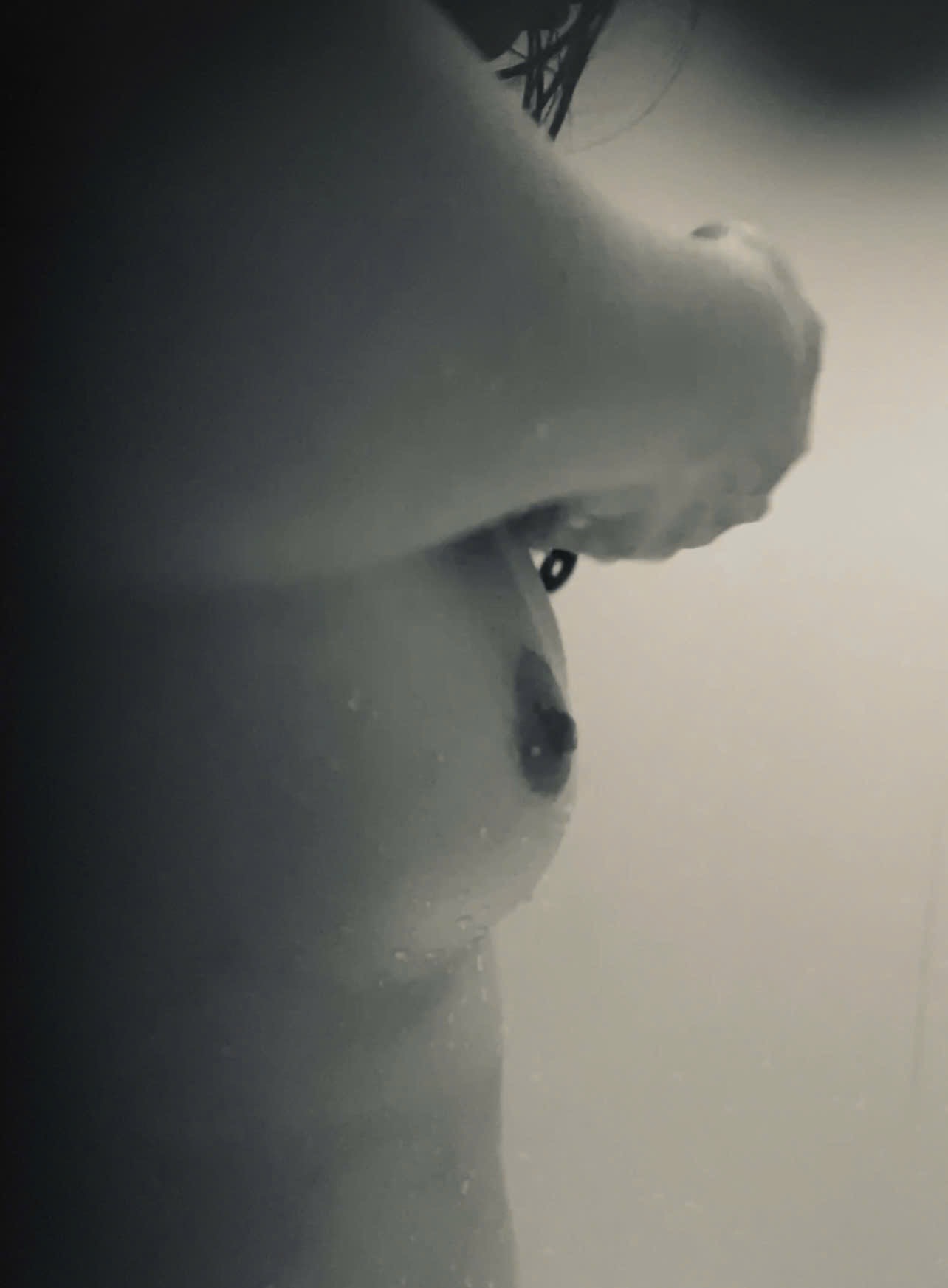 478612-3ef735c67bc4.jpeg