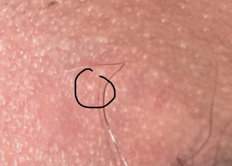 479487-1a6e5d004206.jpeg
