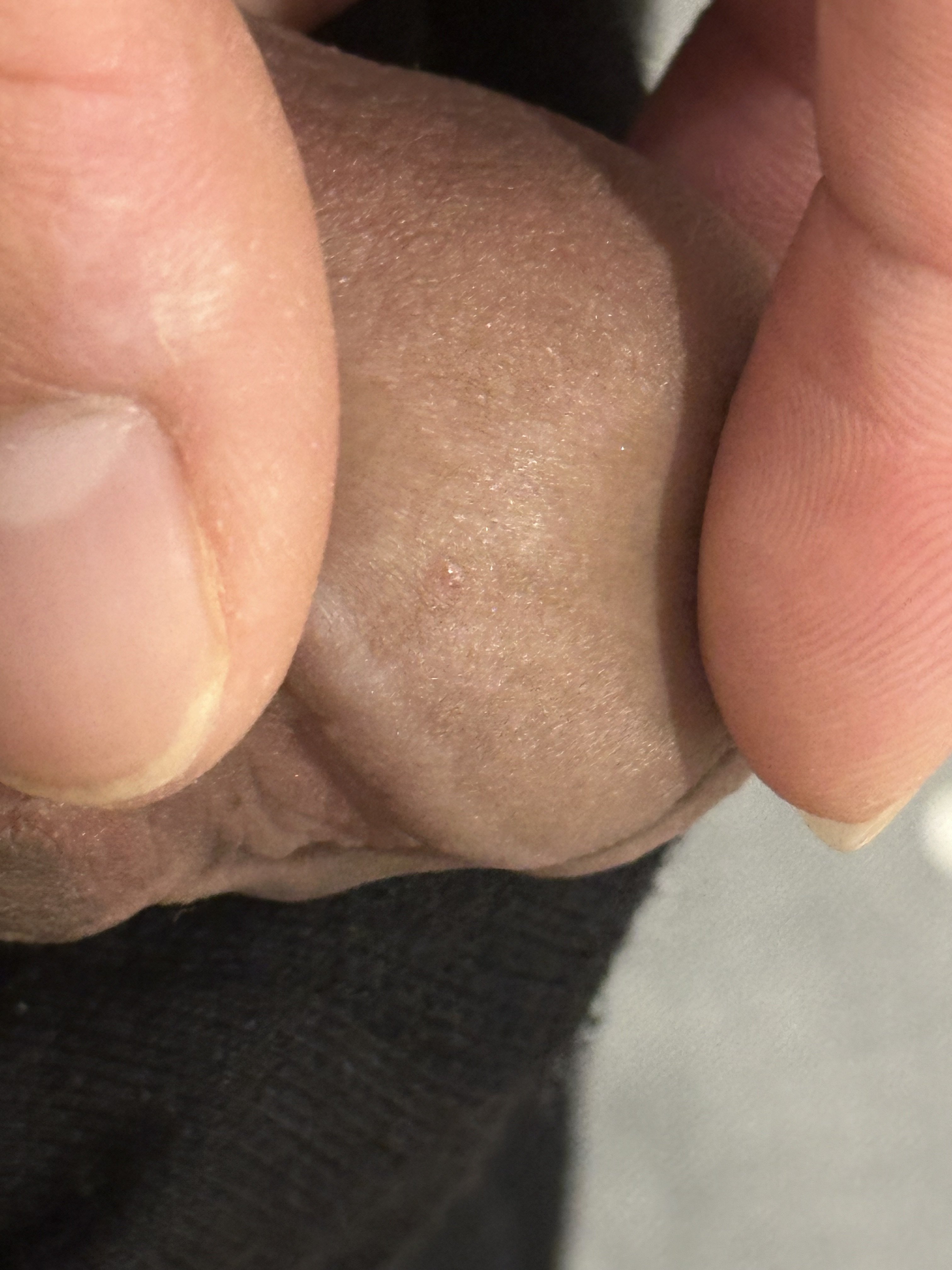 48655-3f46d2887668.jpeg