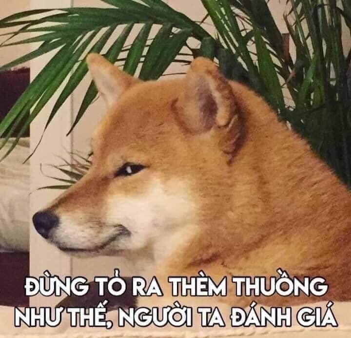 490593-2b89a5a7afa4.jpeg