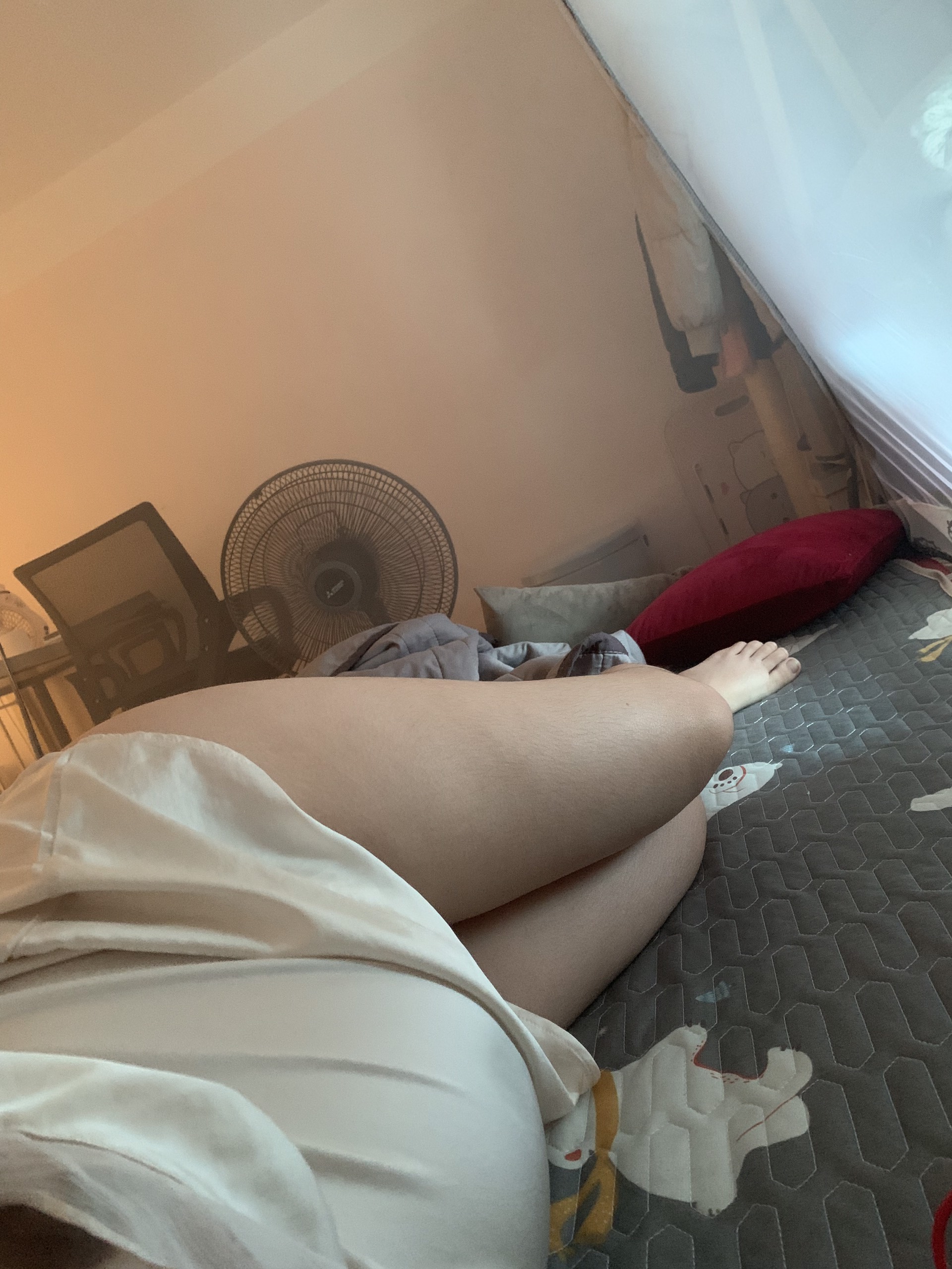 491469-48c8ffdab7f9.jpg