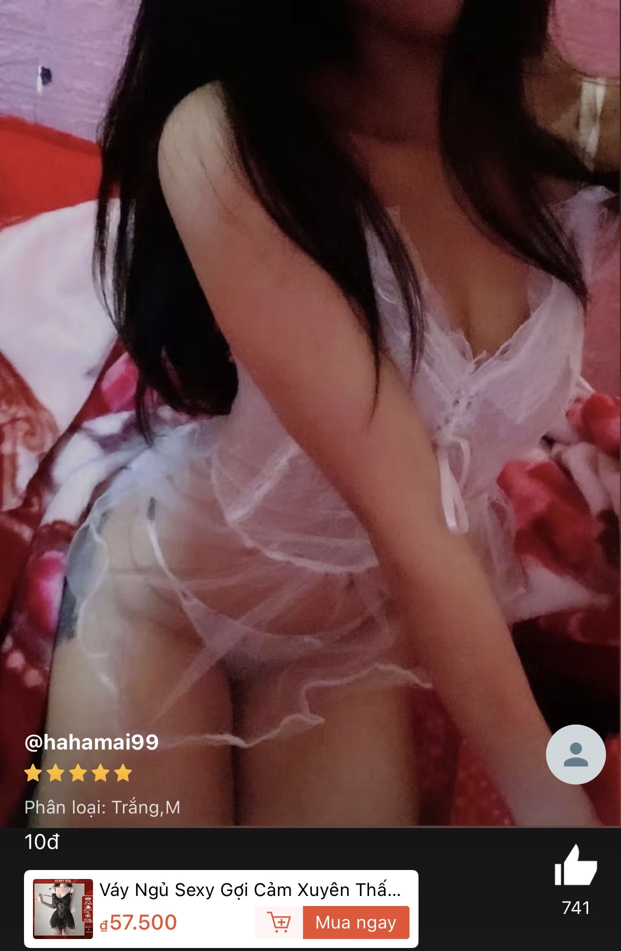 495425-ff9cbe661a41.jpeg