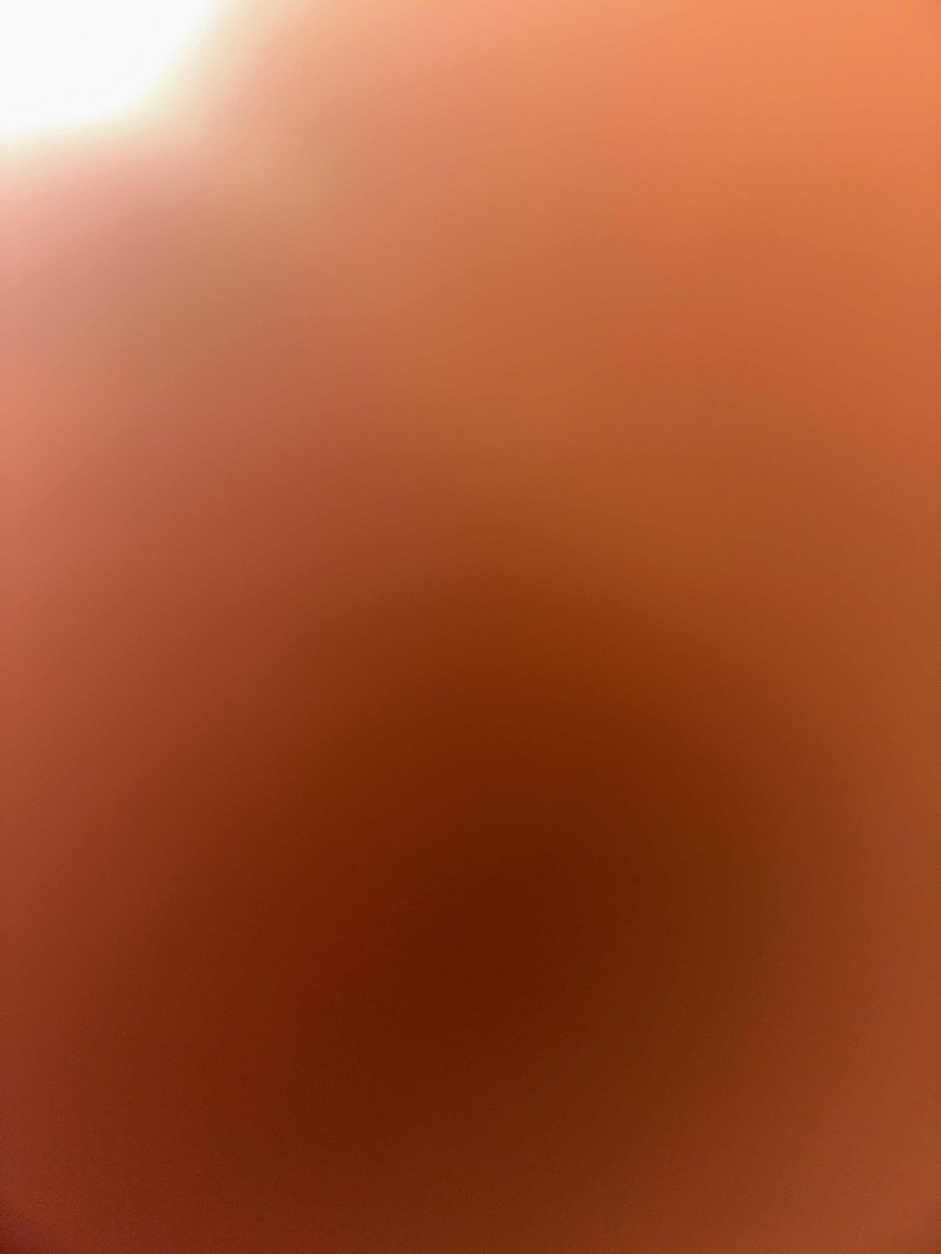 495543-01c56915aa1d.jpg