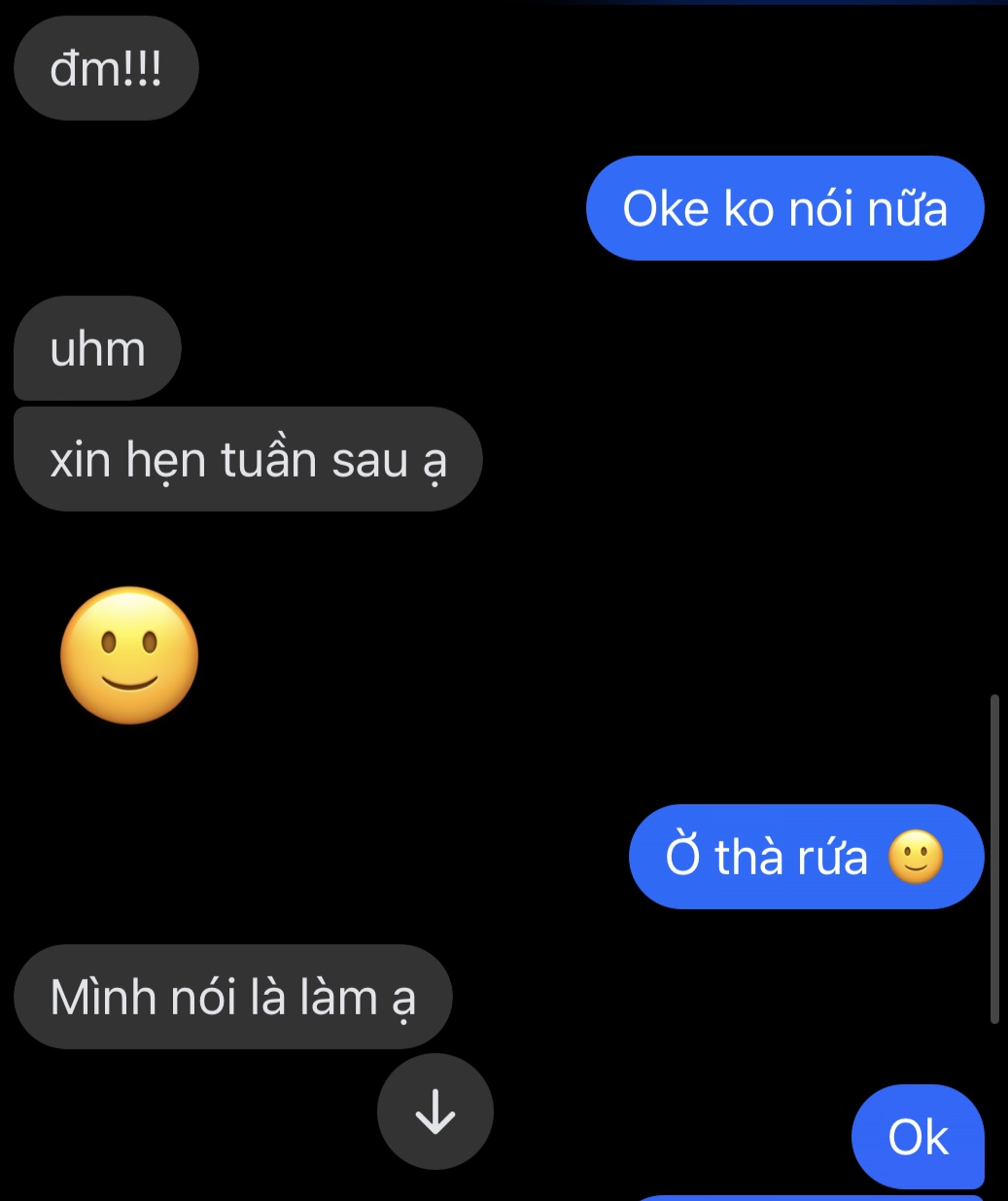 495555-e9ae4358fd08.jpeg