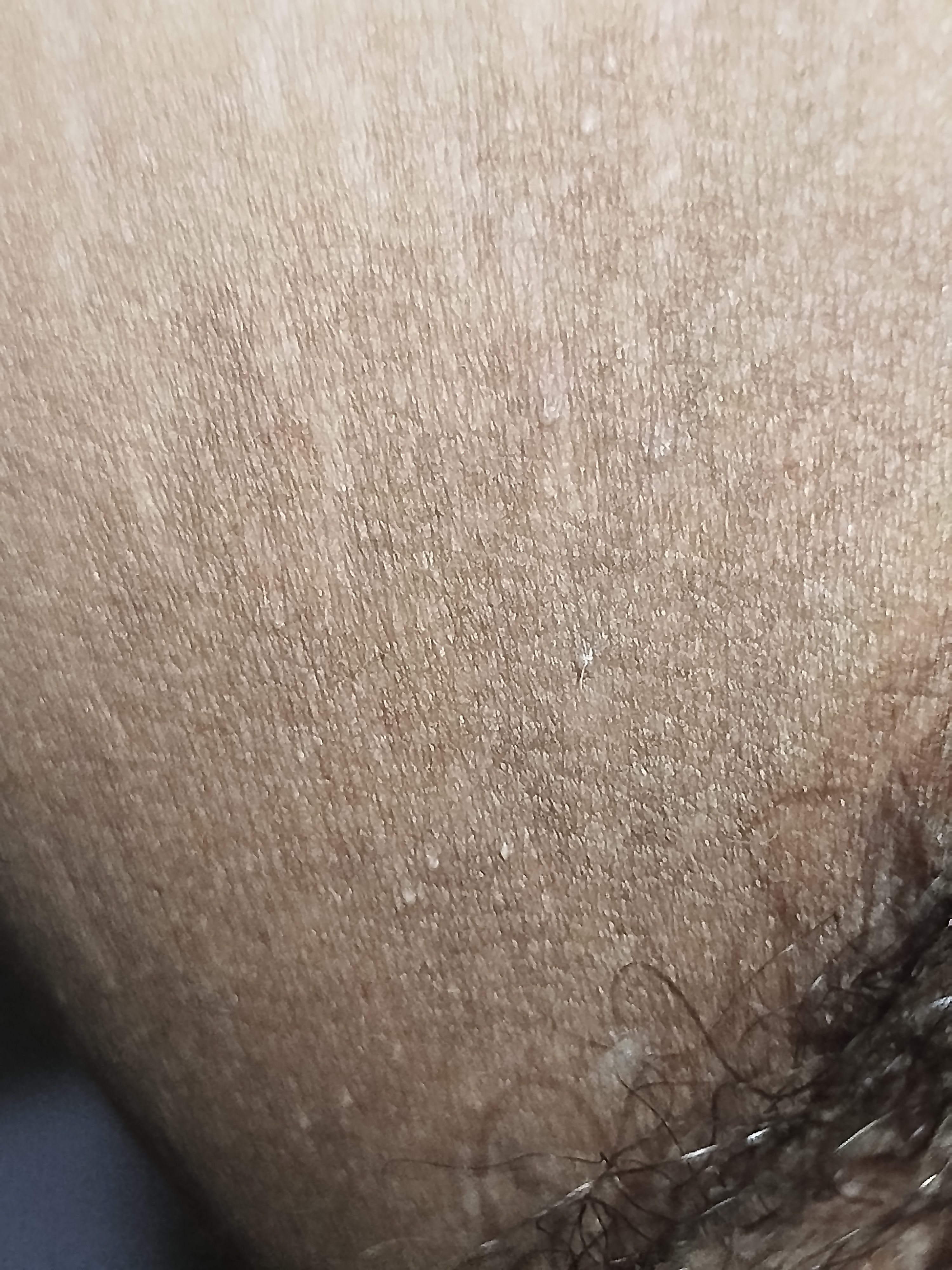 495720-fe9e93cfbb2b.jpg