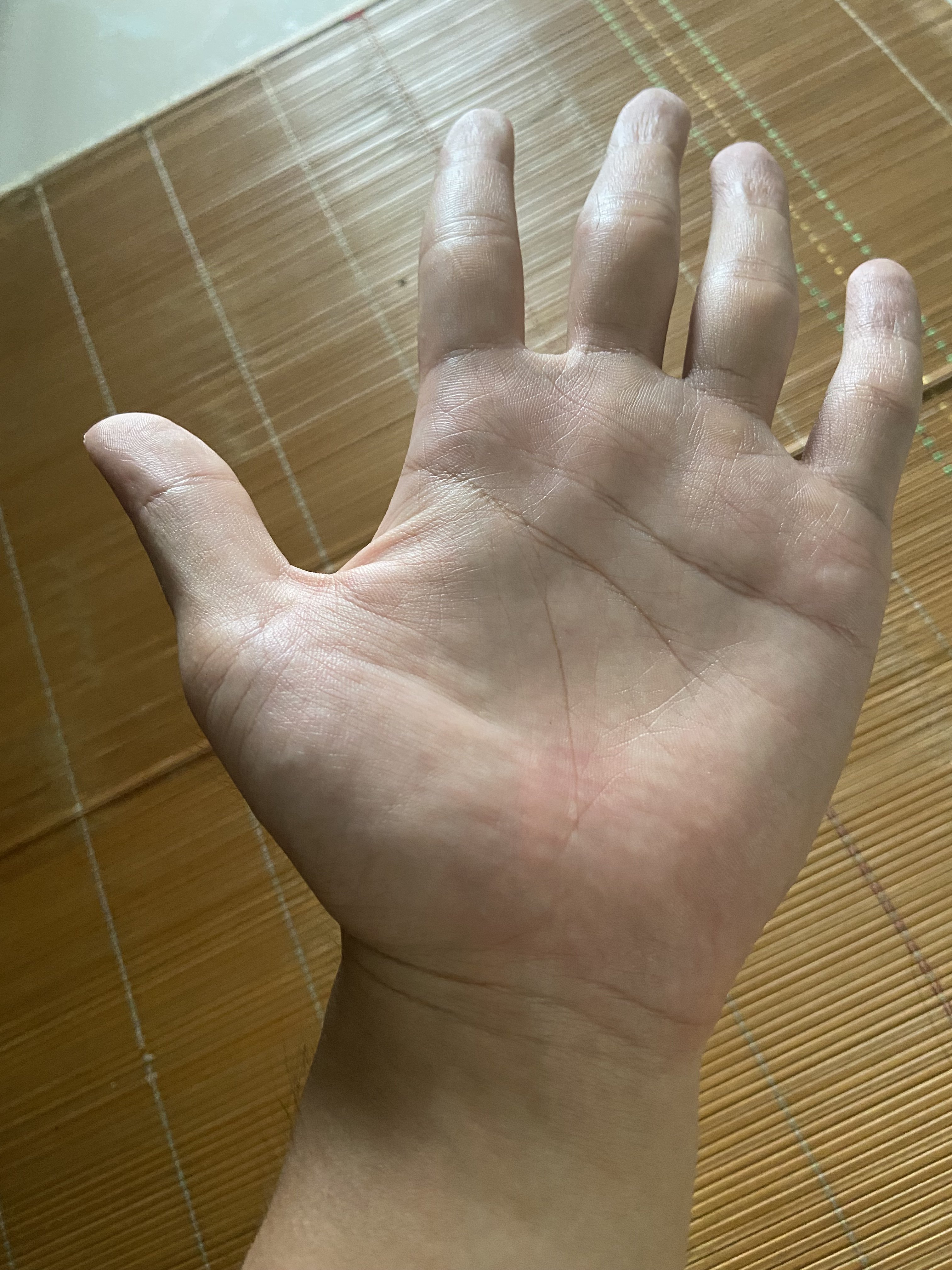 495792-0700d2e7d524.jpeg