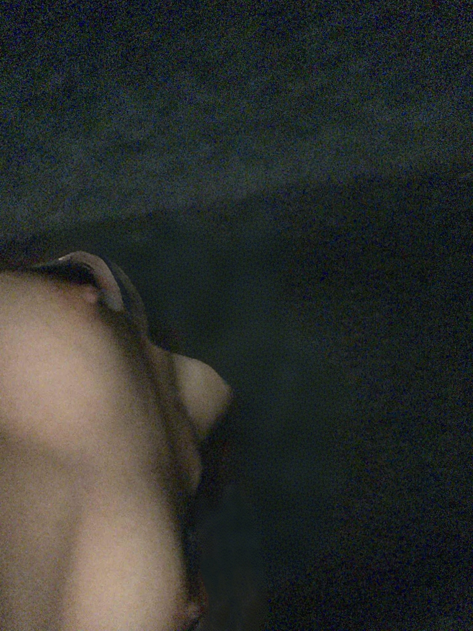 497616-0cd771800be5.jpeg