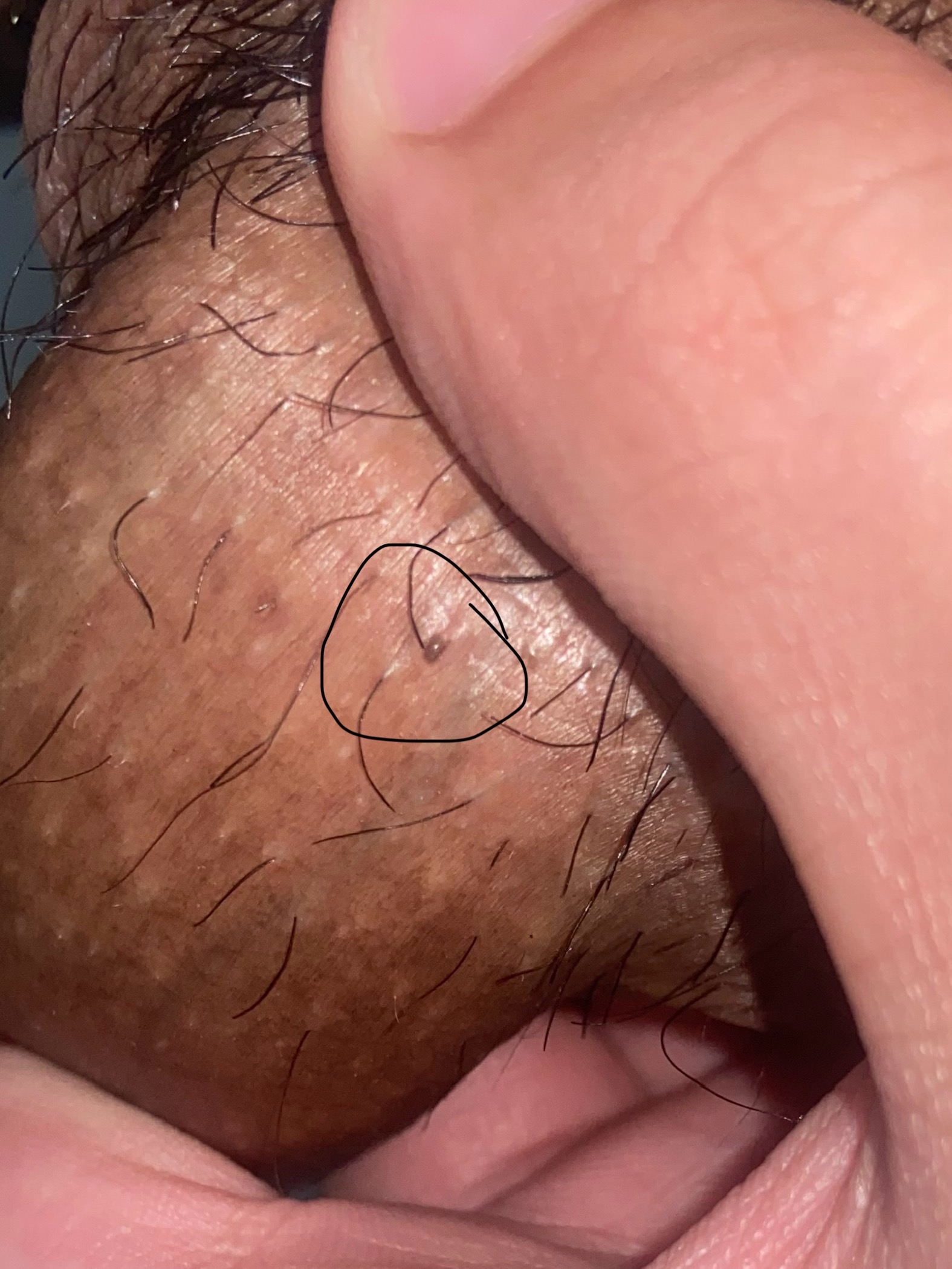 497810-56a9d047a8ab.jpeg