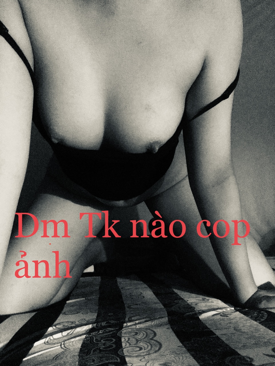 500228-9dba88774fae.jpeg