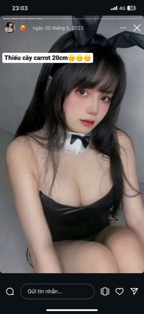501158-cd77d4f7645e.jpeg