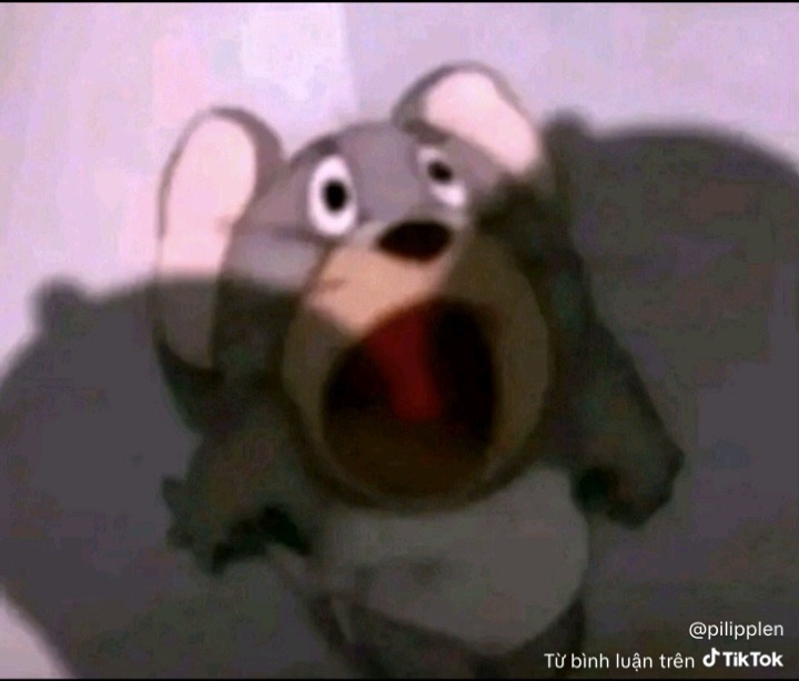 504129-44465a5dc069.jpeg