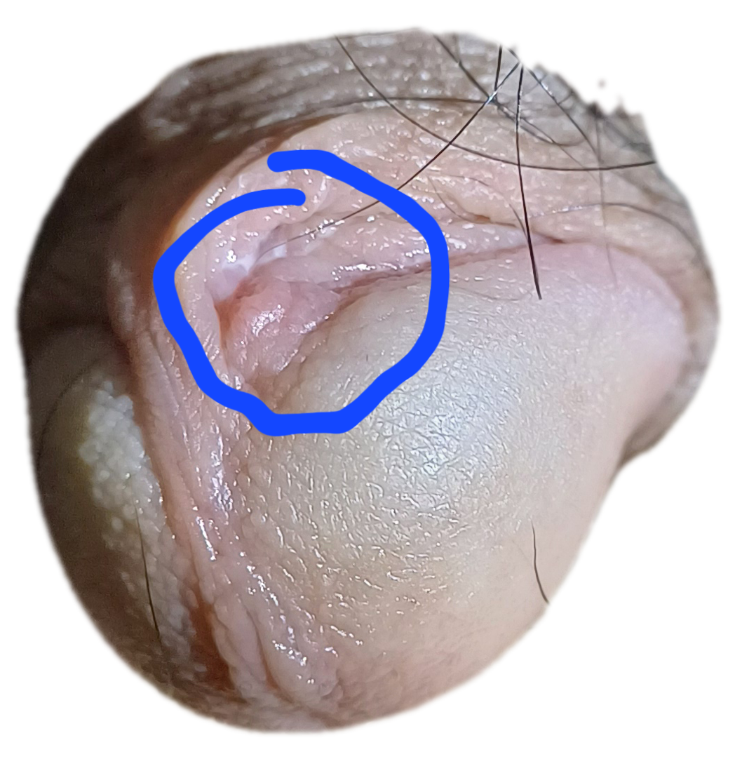 505495-e6d16f3f365d.png