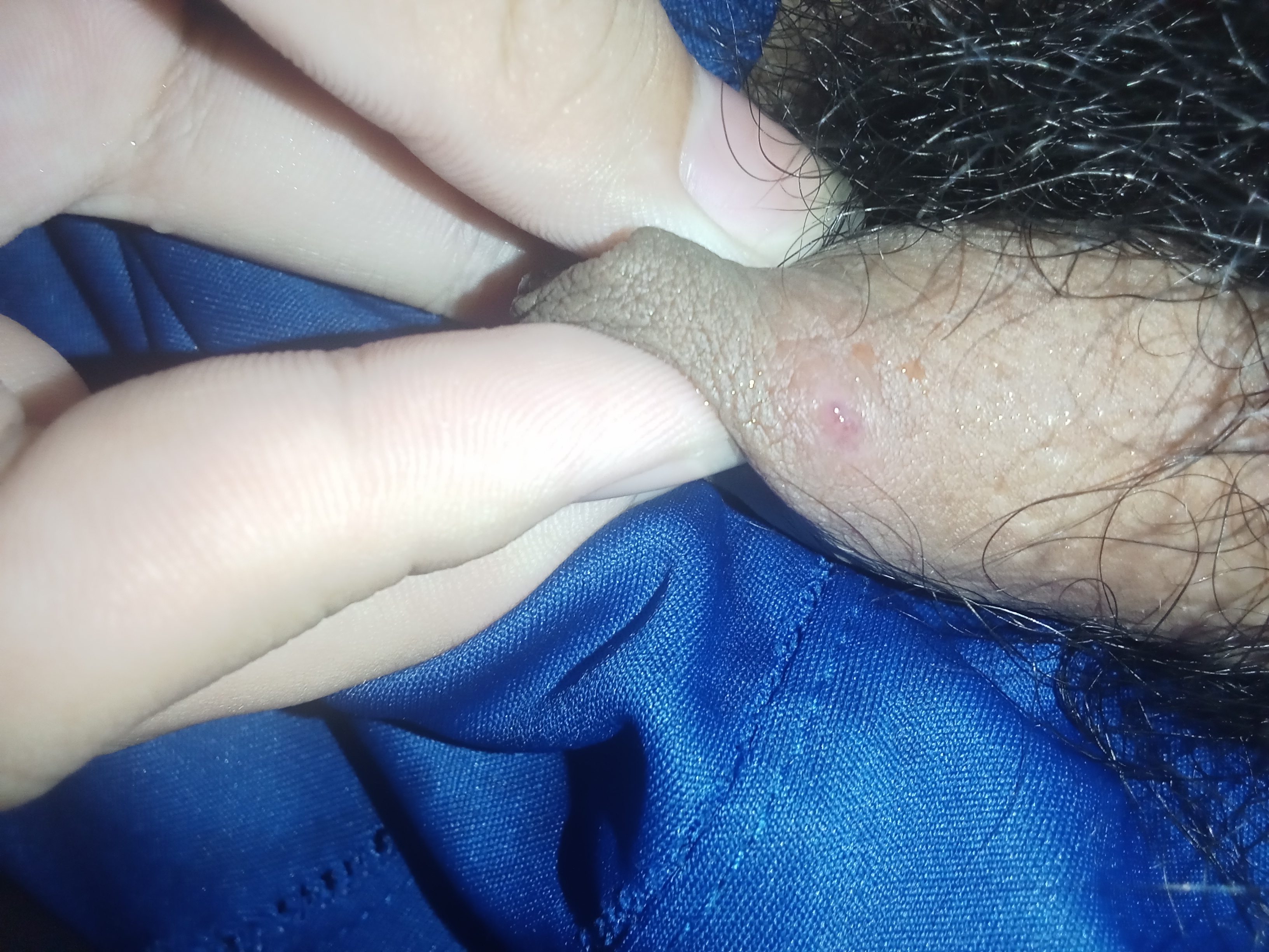 506623-927968297fc3.jpg