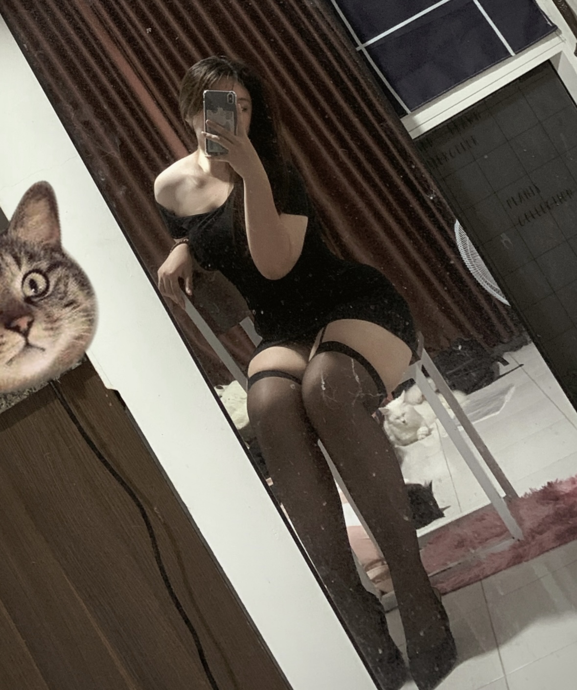 508058-0acafe27f335.jpeg
