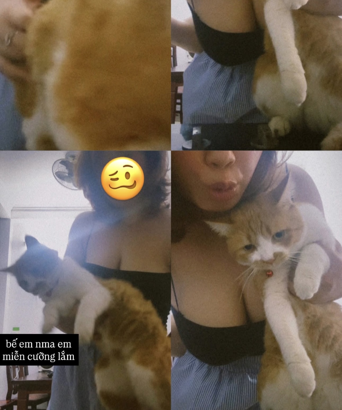 509117-c5a739556548.jpeg