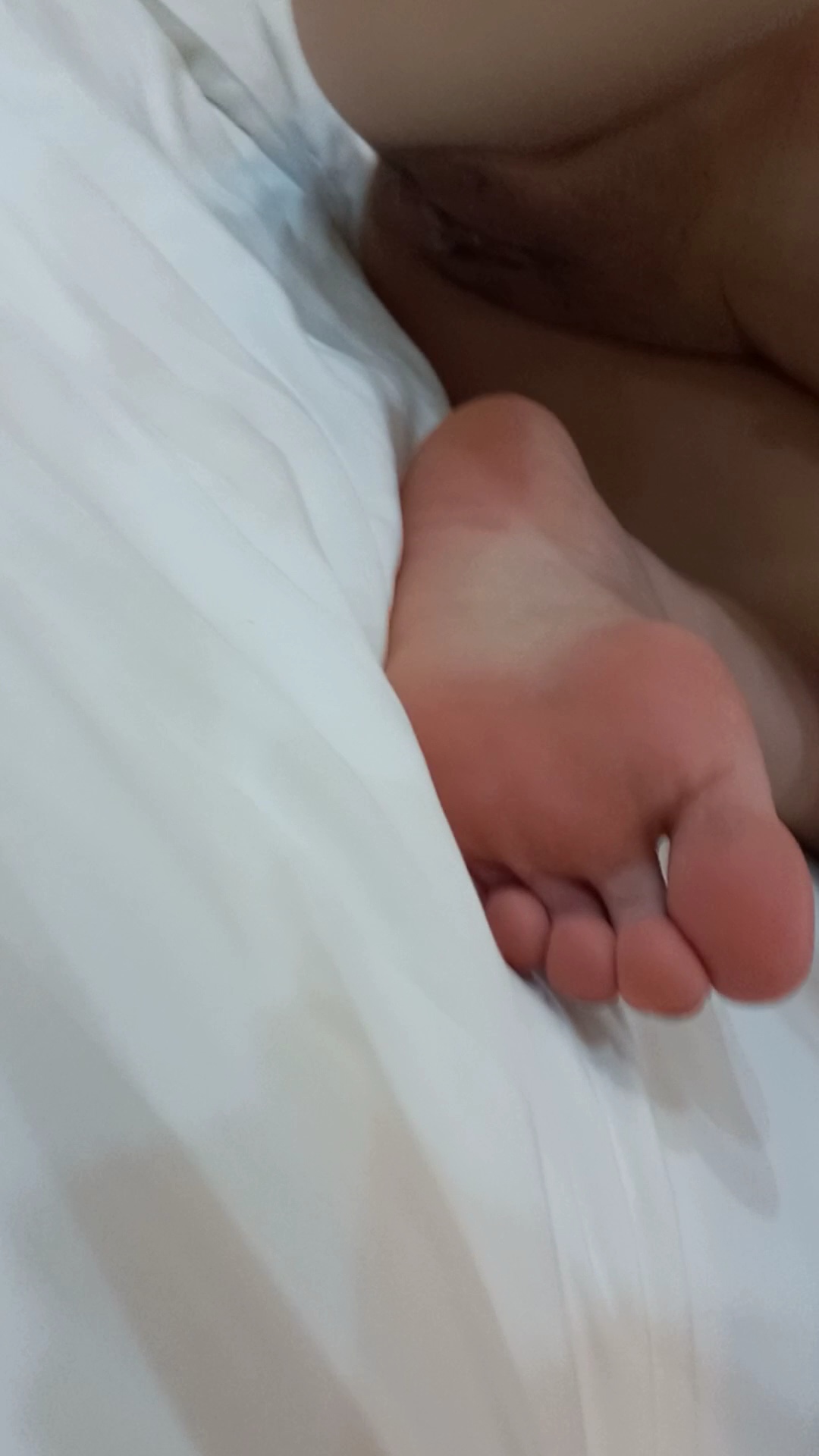 51288-094f8e788d44.jpg