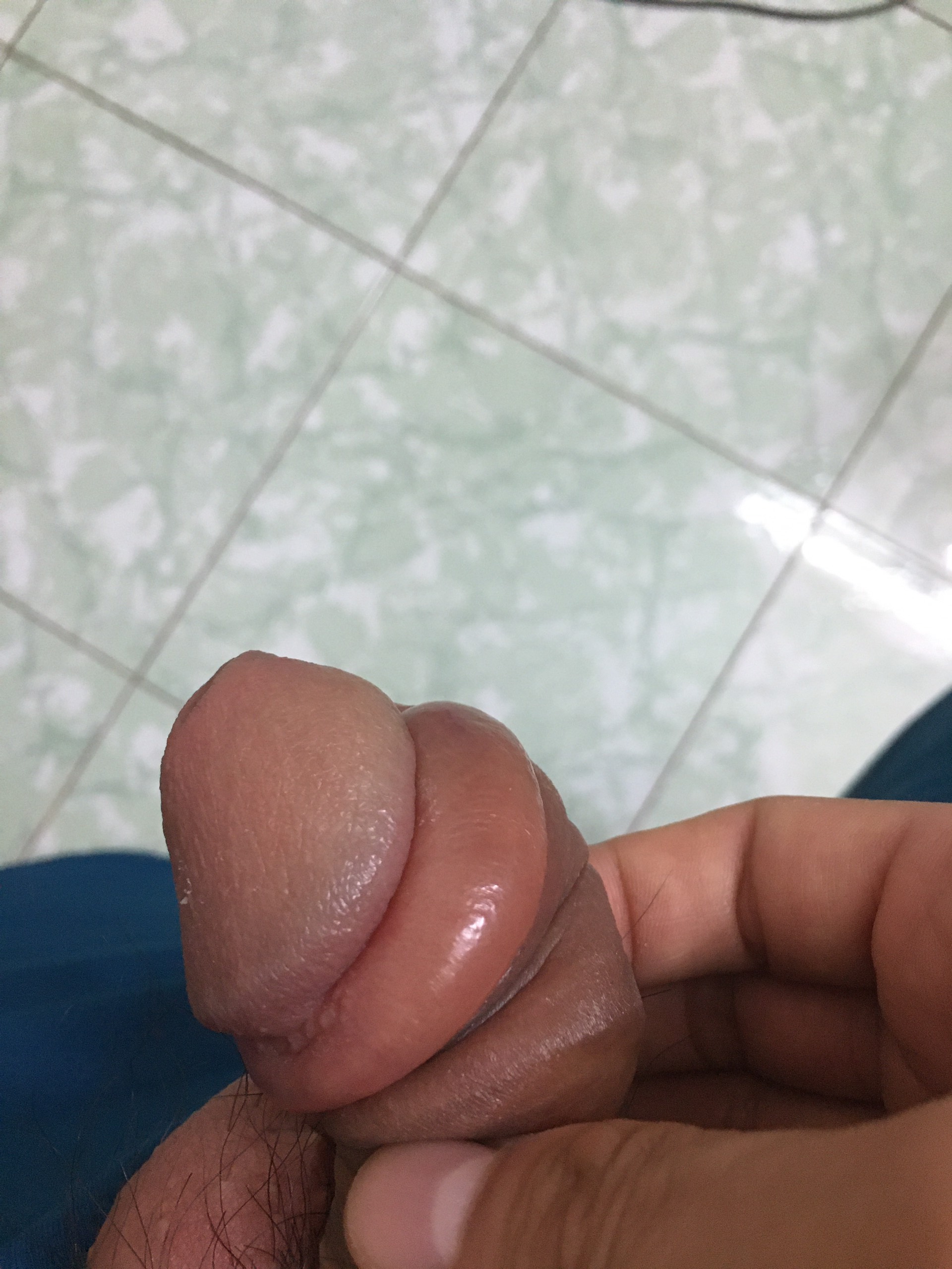 51558-d36f42e8bef9.jpg