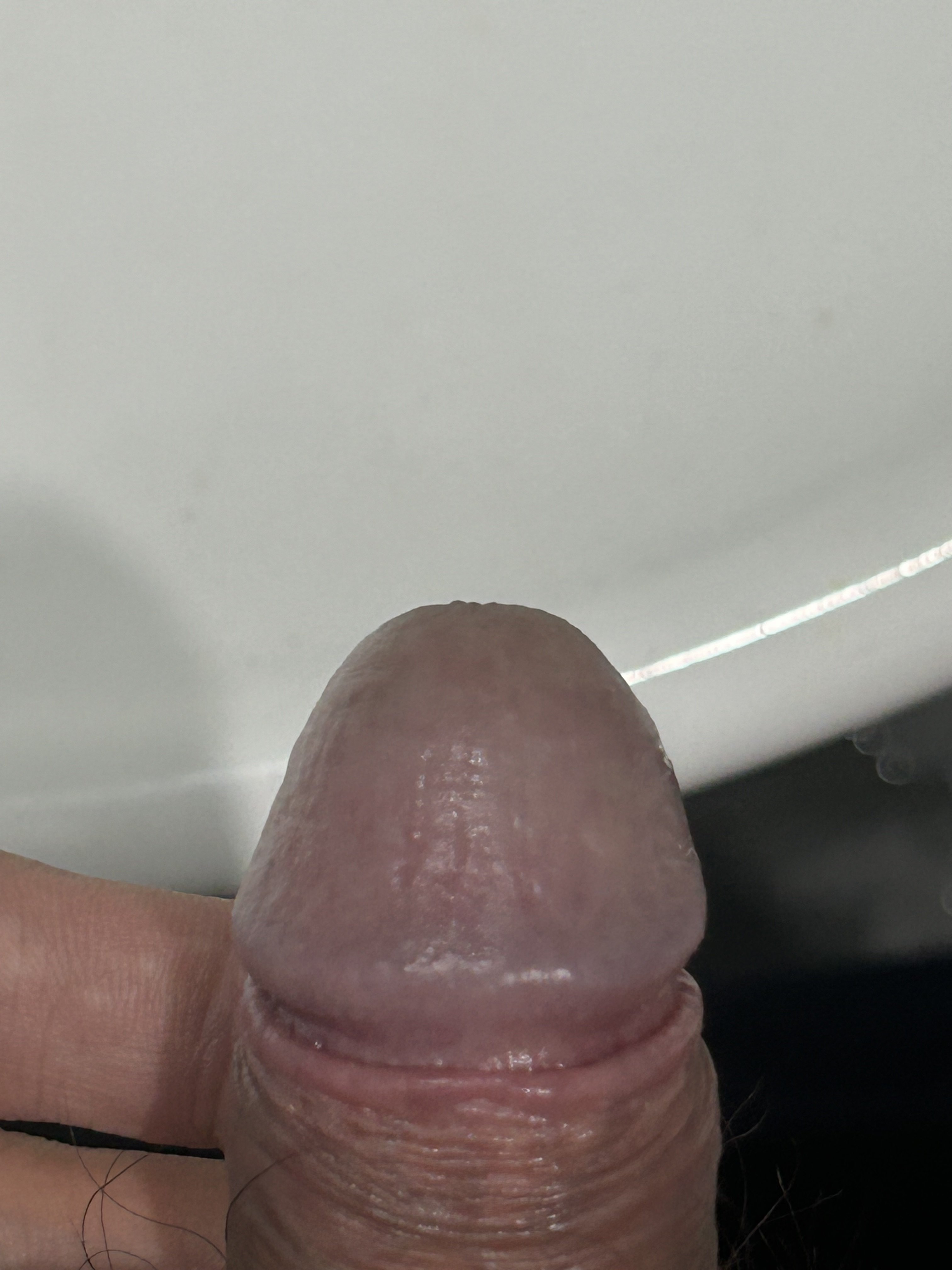 510966-daafbbce49d3.jpeg