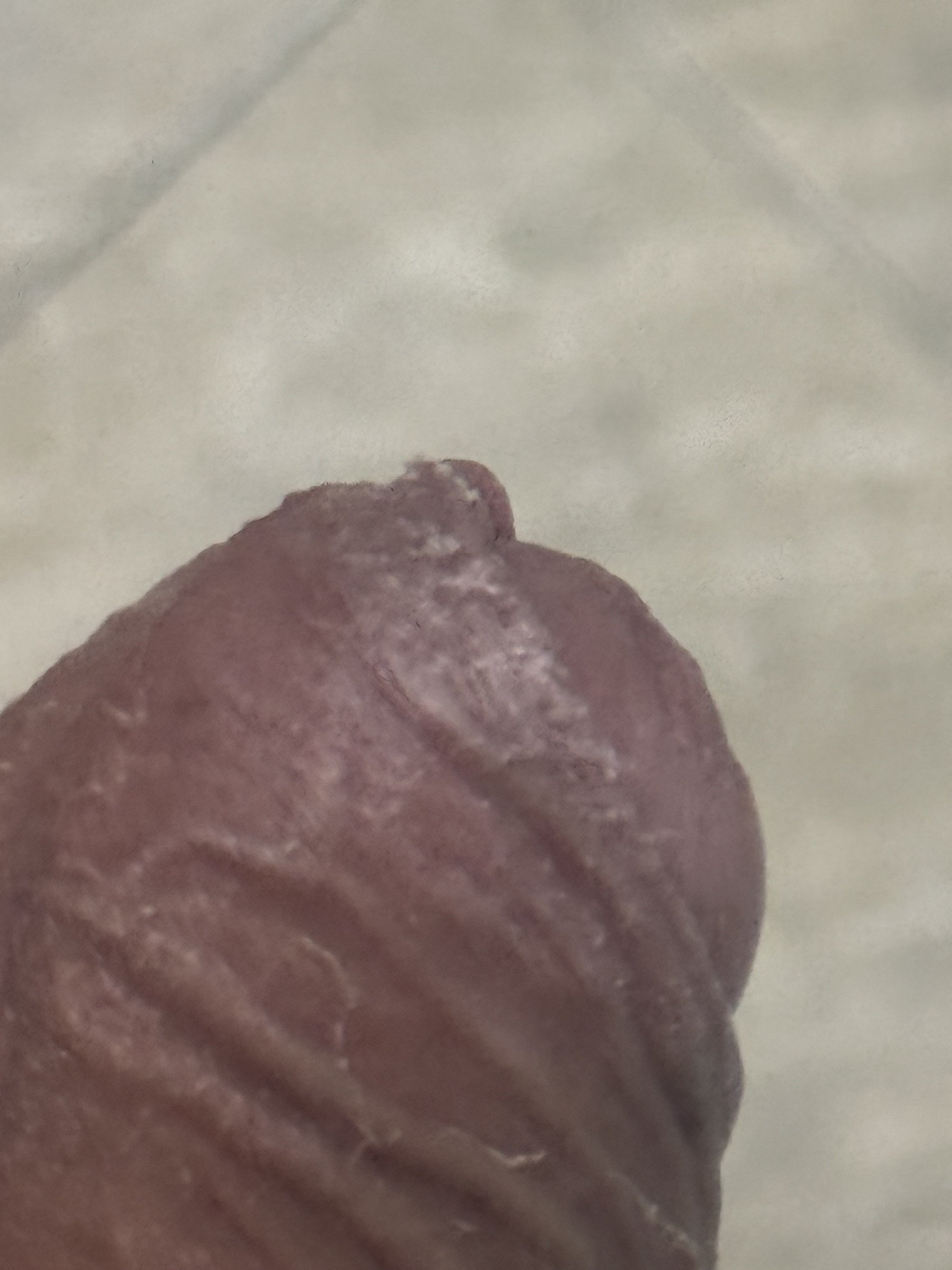 513765-38eeec09db1a.jpeg