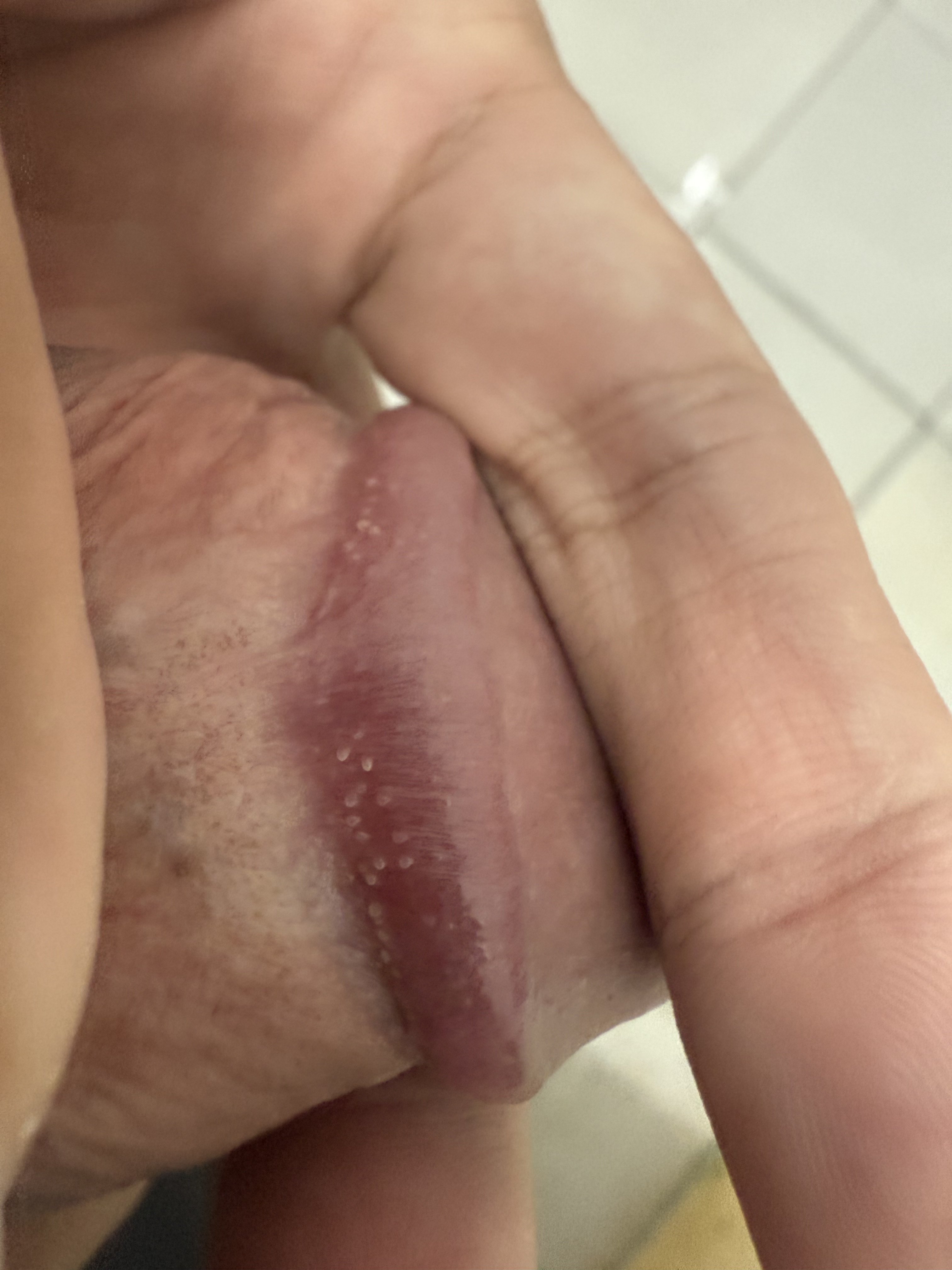 516220-a866493a0f61.jpeg