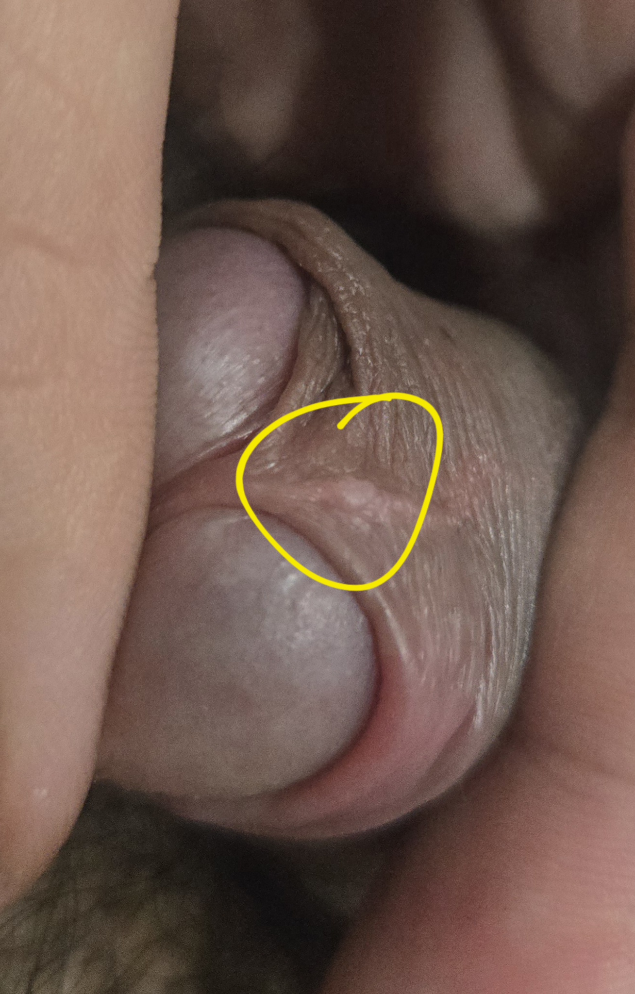 521923-0bba47d1e4fd.jpg