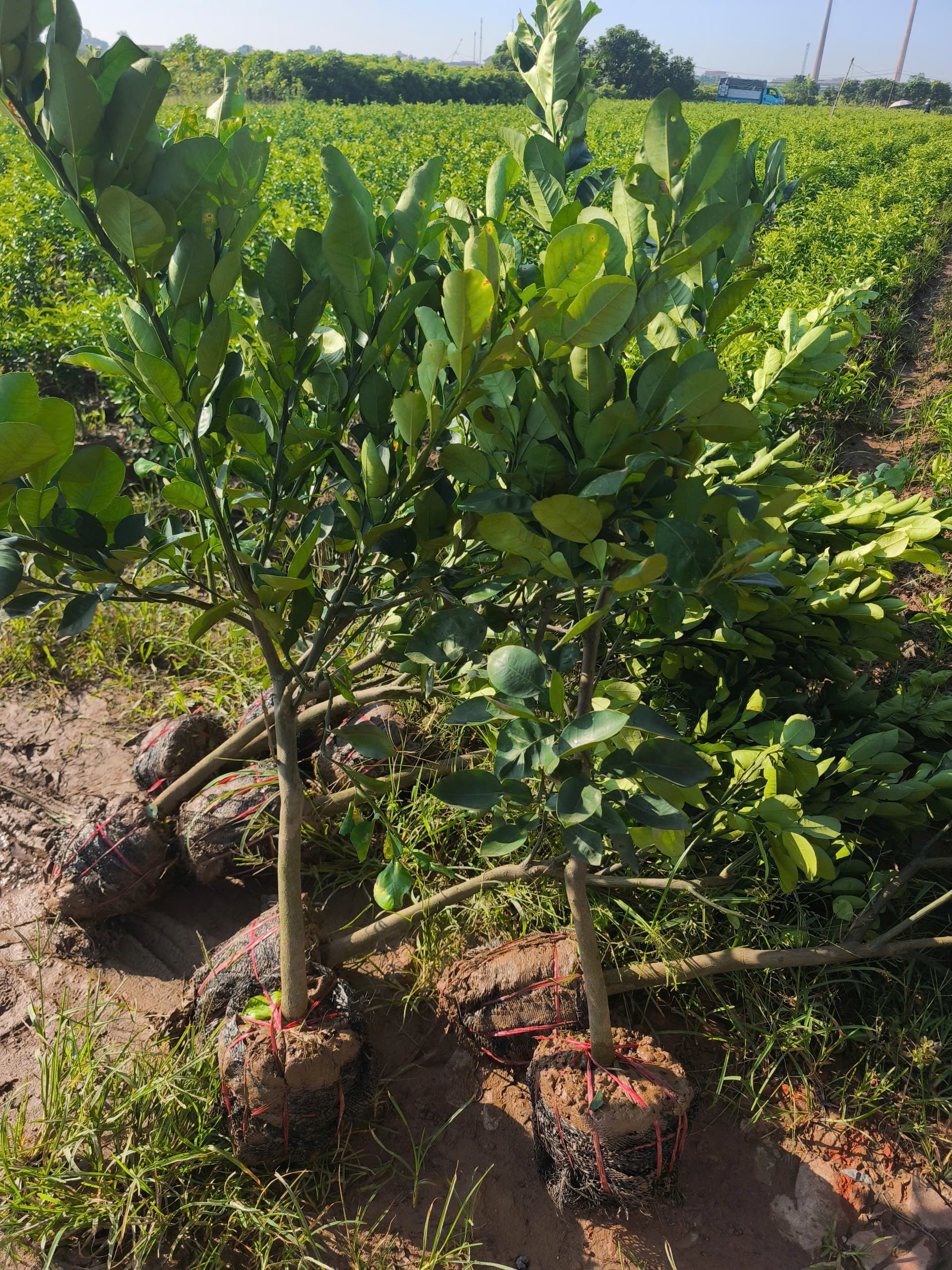 522776-d131e9f2653e.jpg
