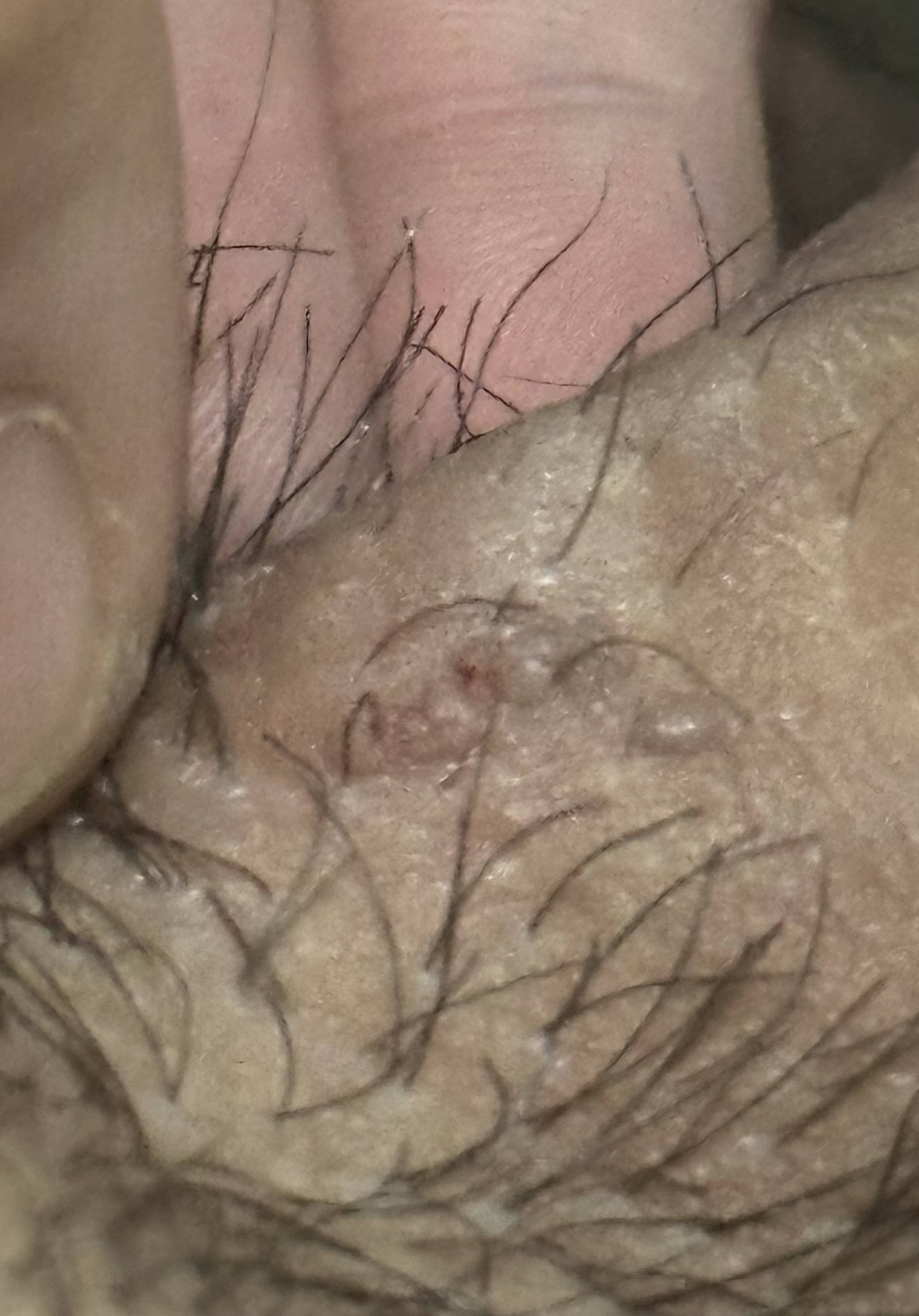 526129-f9905aa05d0c.jpeg