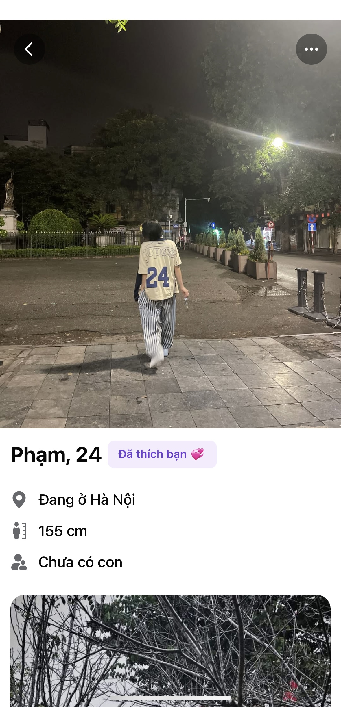 526682-668c43c5cddc.jpeg