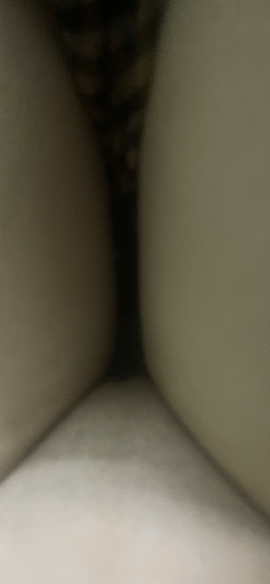 532251-8bd6ba4543d1.jpeg